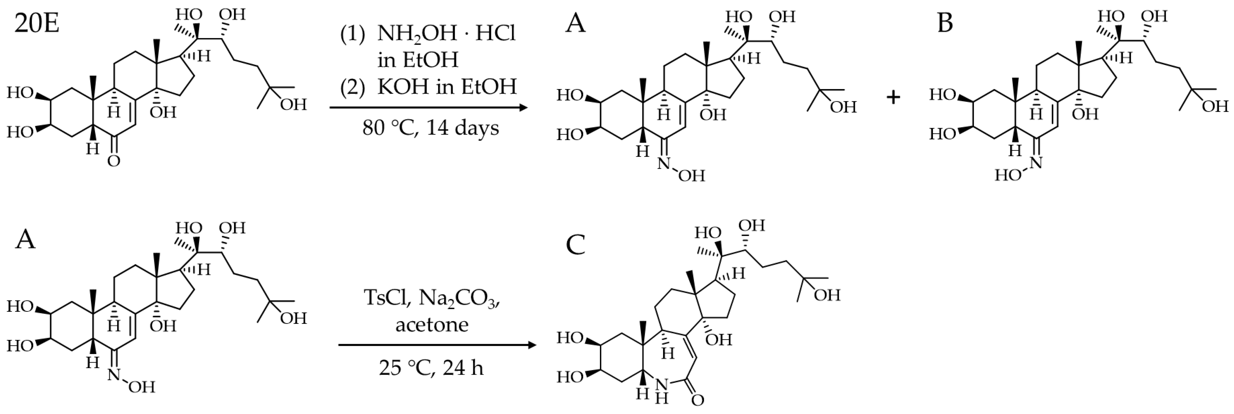Microbiolres 13 00071 g001 Microbiolres 13 00071 g001