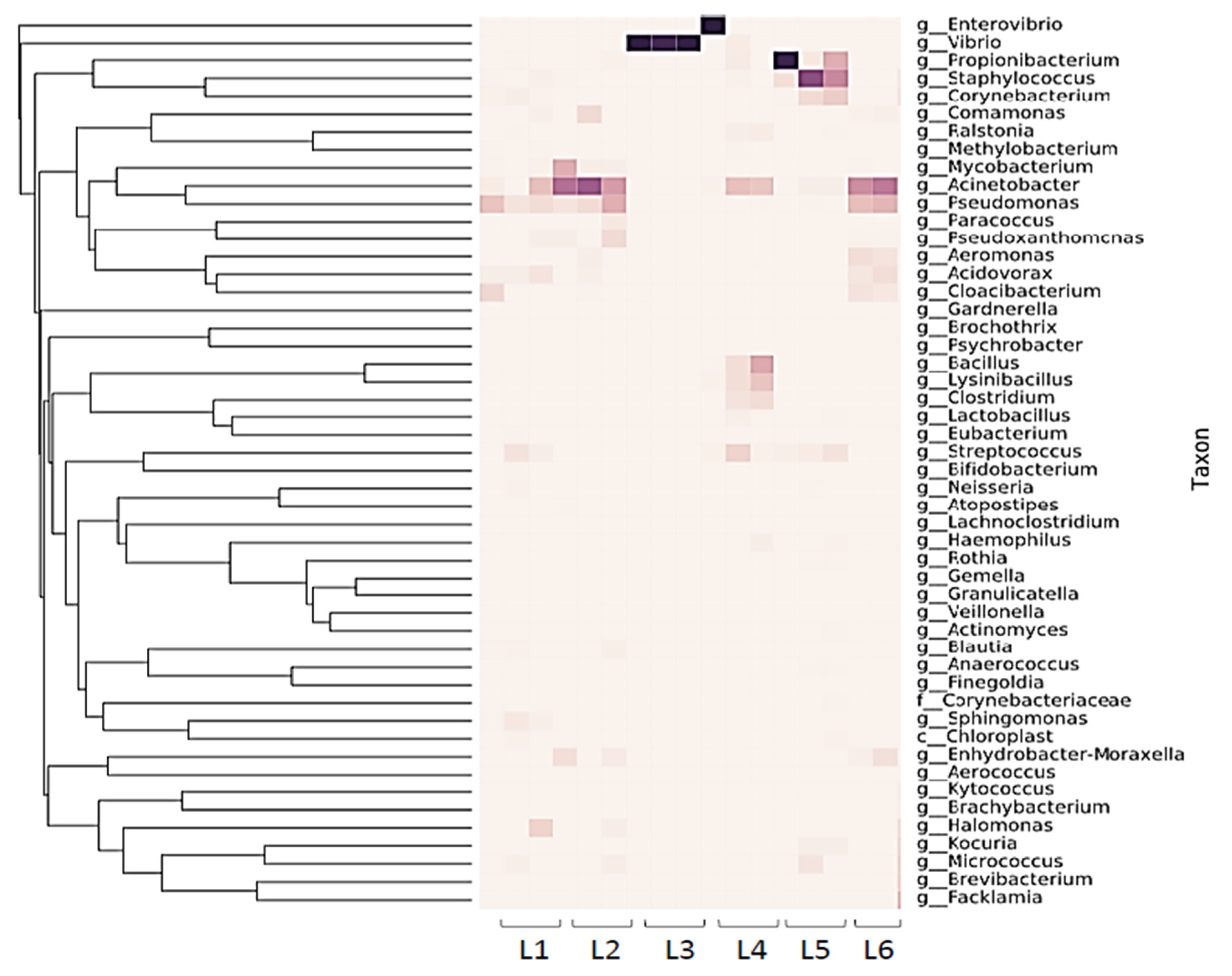 Microbiolres 13 00072 g001
