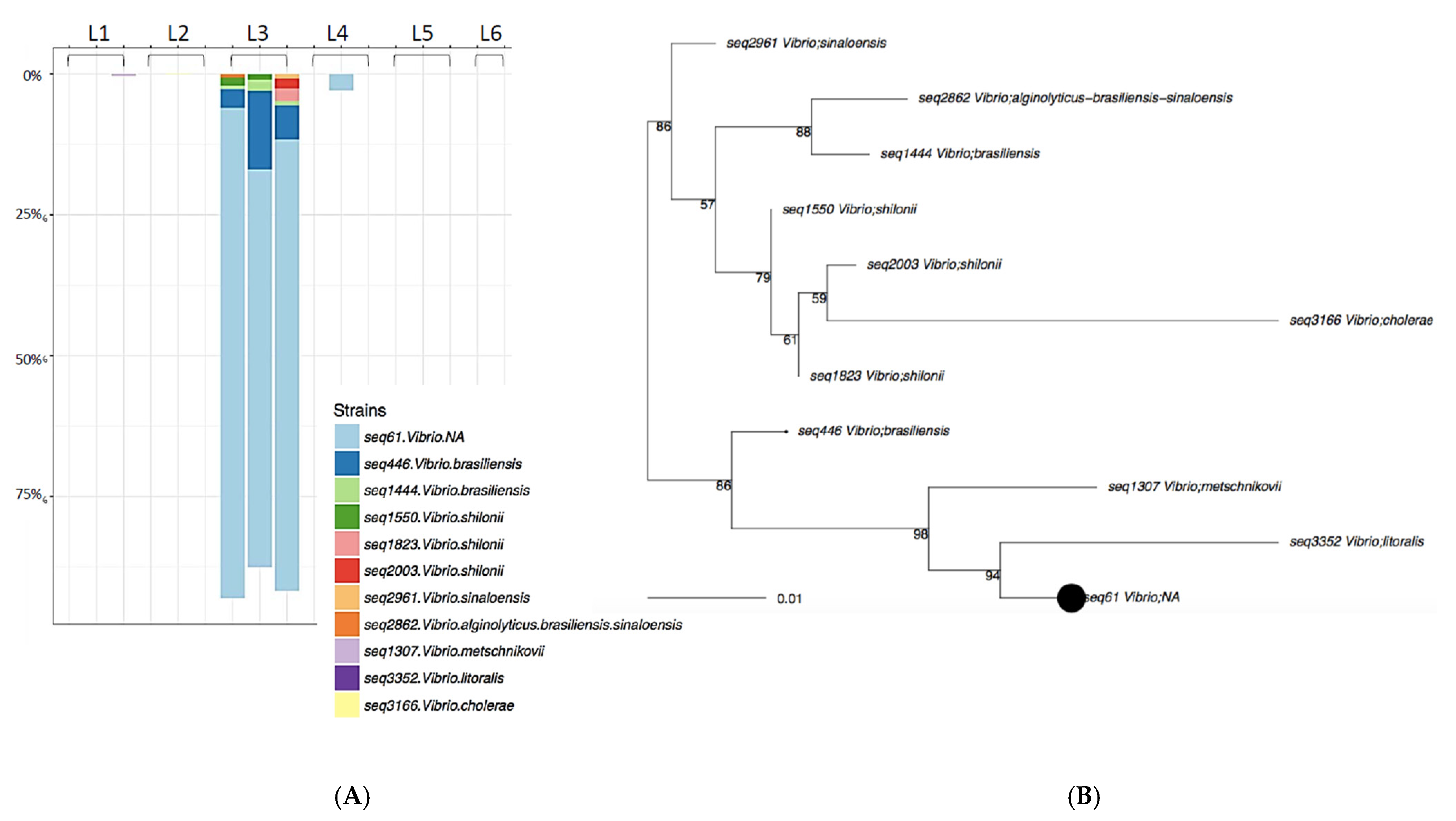 Microbiolres 13 00072 g004