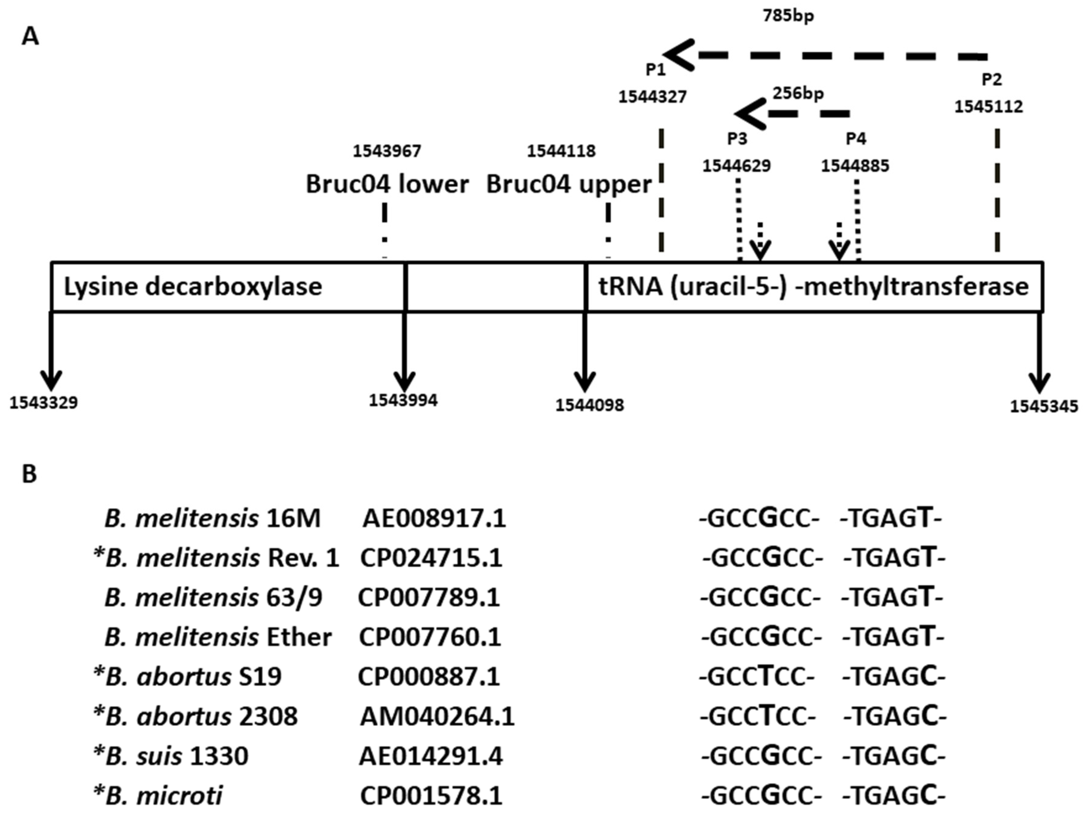 Microbiolres 14 00002 g002 Microbiolres 14 00002 g002