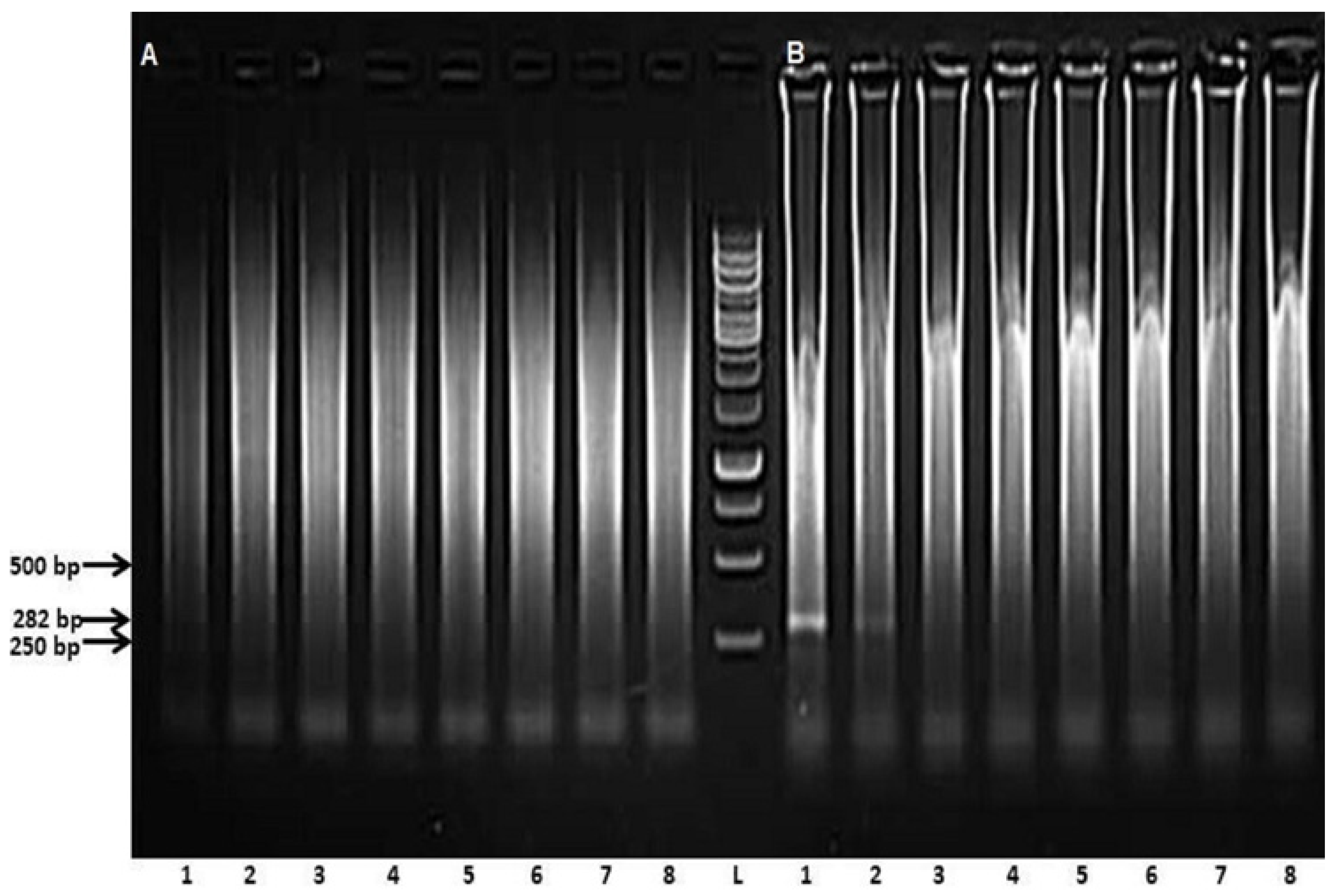 Microbiolres 14 00002 g003 Microbiolres 14 00002 g003