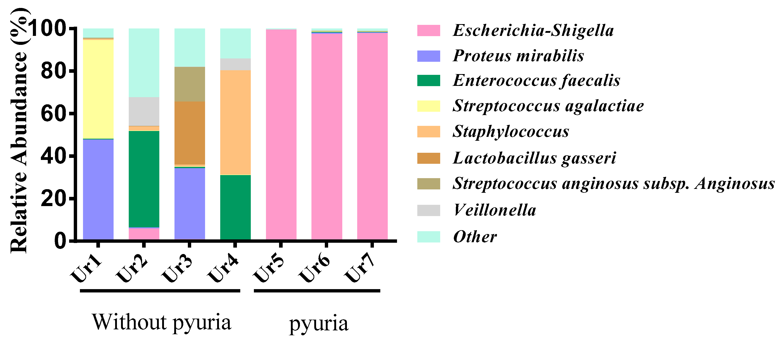 Microbiolres 14 00003 g002 Microbiolres 14 00003 g002