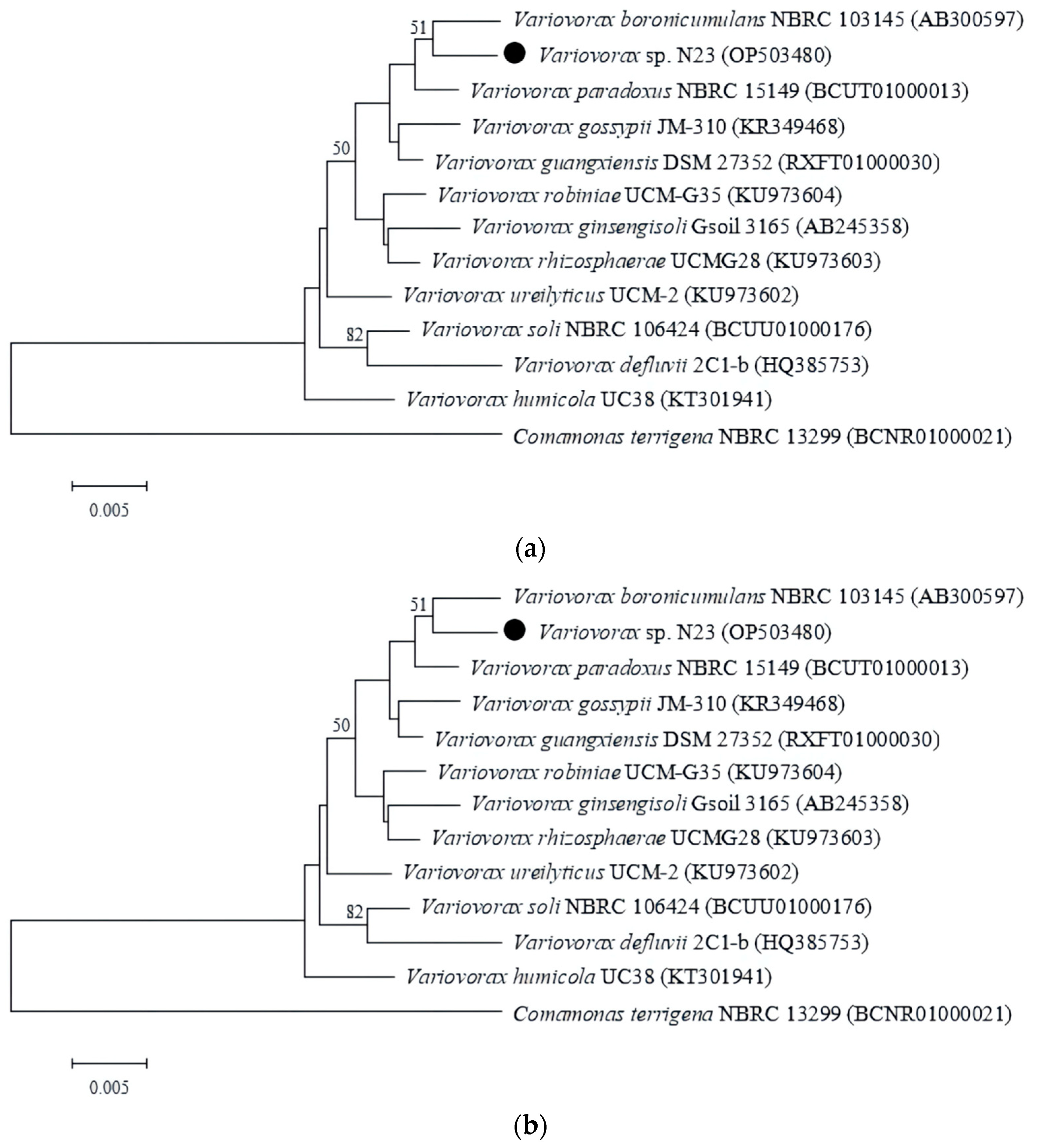 Microbiolres 14 00009 g002 Microbiolres 14 00009 g002