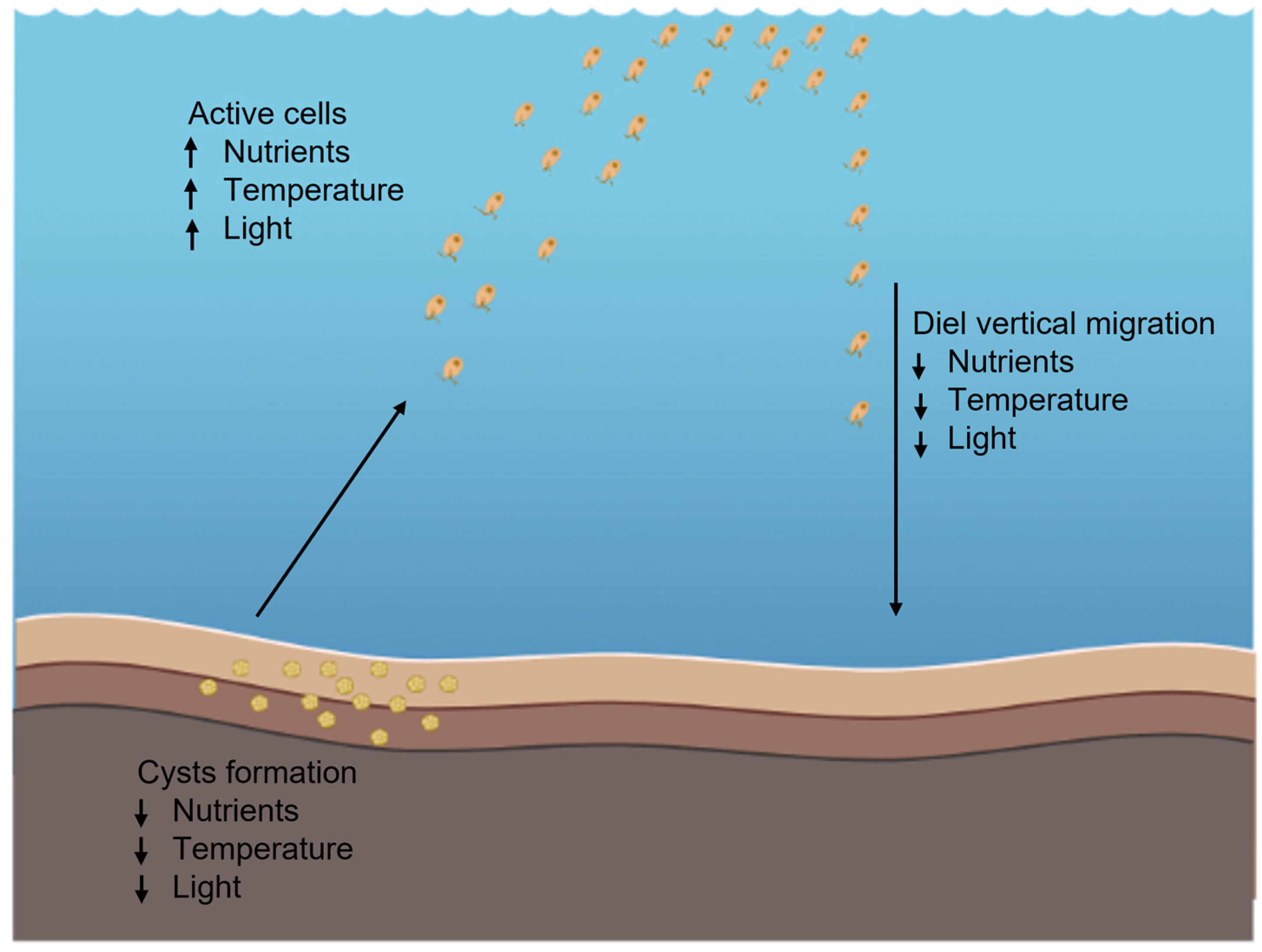 Microbiolres 14 00012 g003 Microbiolres 14 00012 g003