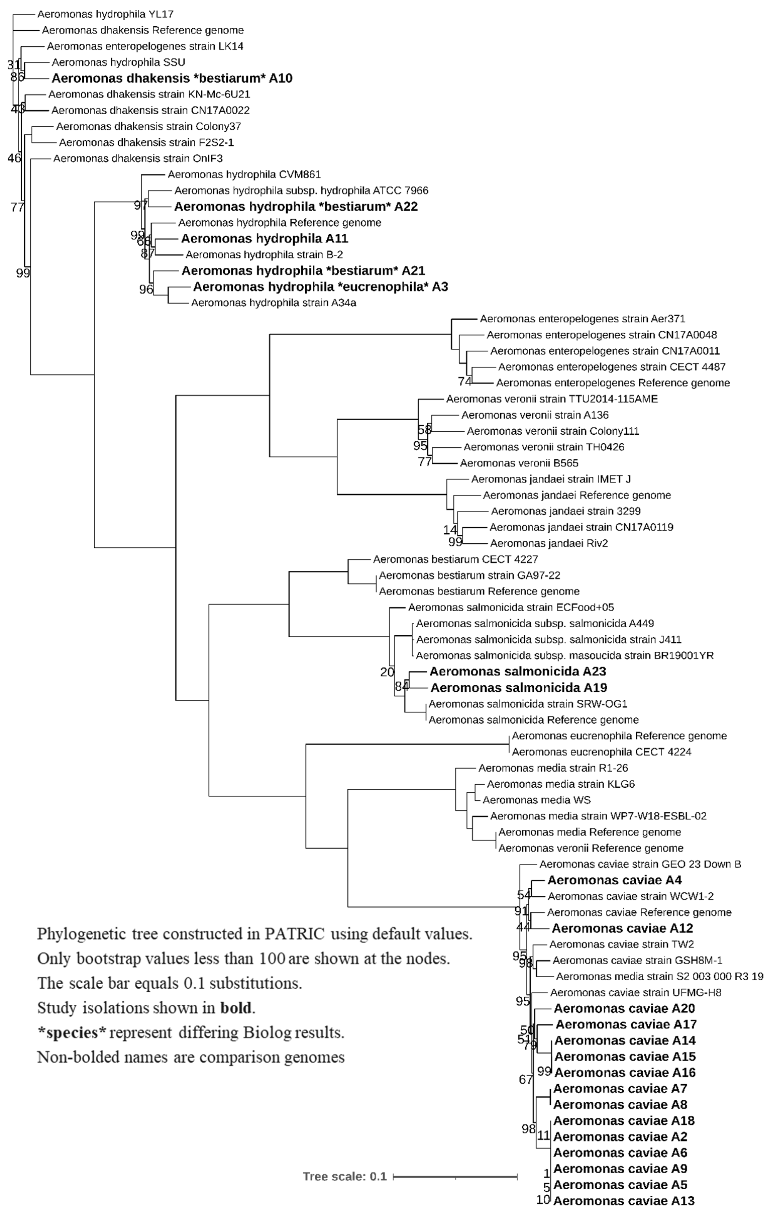 Microbiolres 14 00014 g003 Microbiolres 14 00014 g003