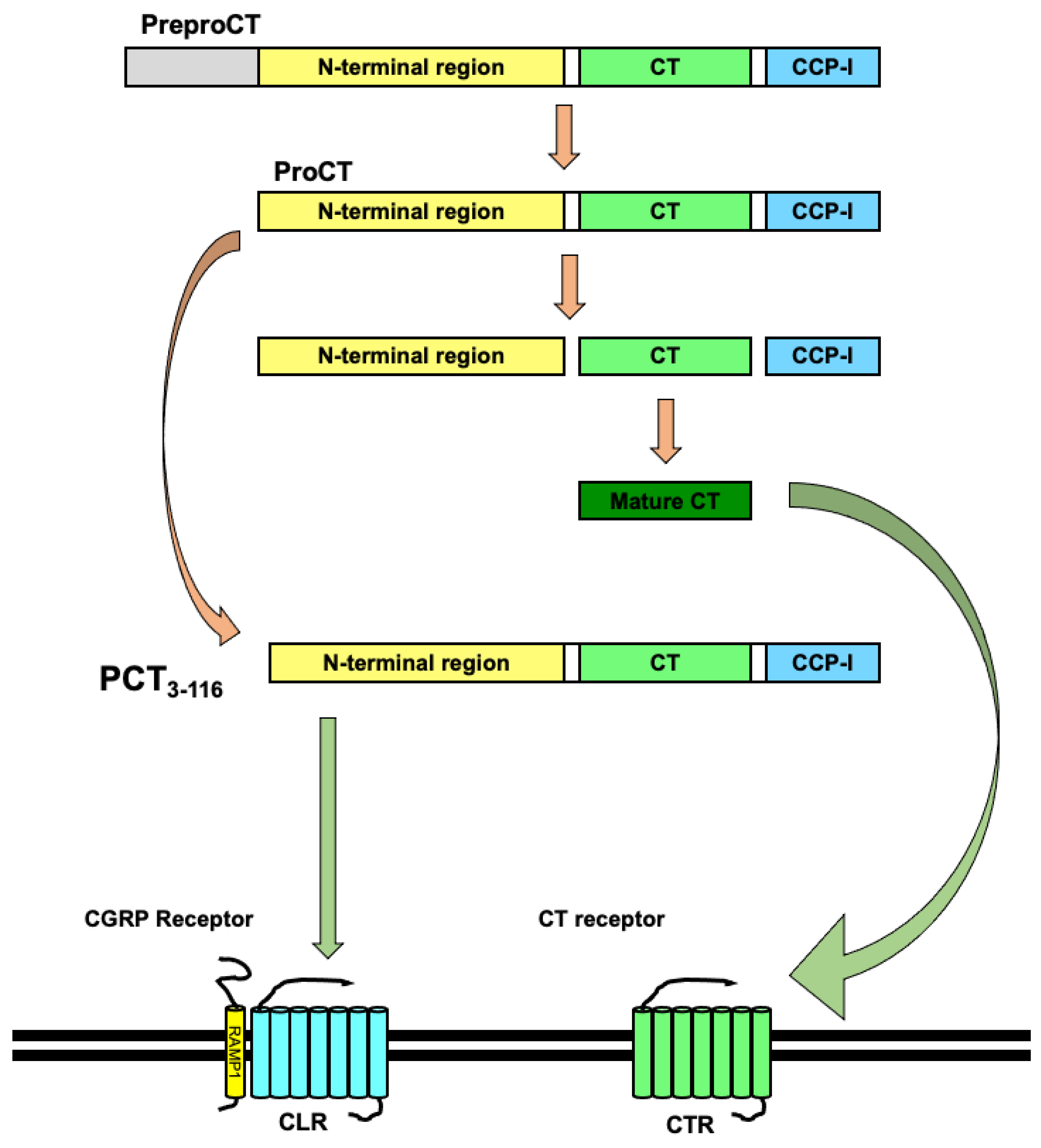Microbiolres 14 00016 g001 Microbiolres 14 00016 g001