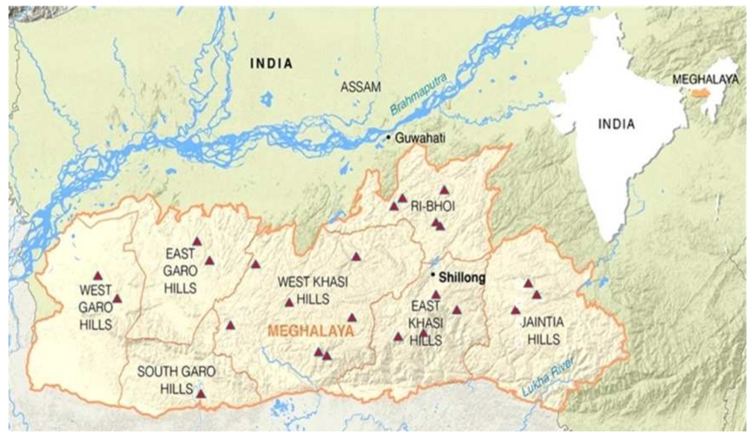 Microbiolres 14 00027 g001 Microbiolres 14 00027 g001