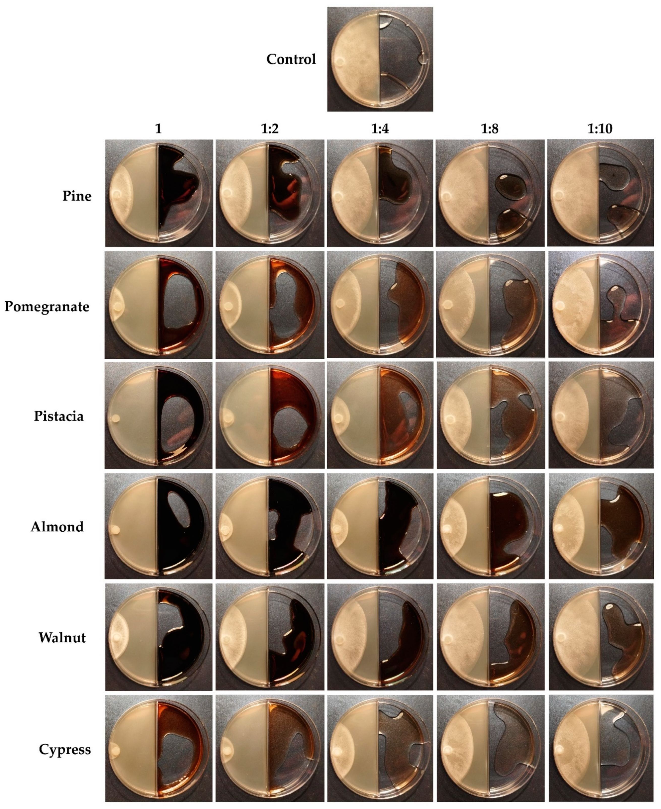 Microbiolres 14 00029 g003 Microbiolres 14 00029 g003