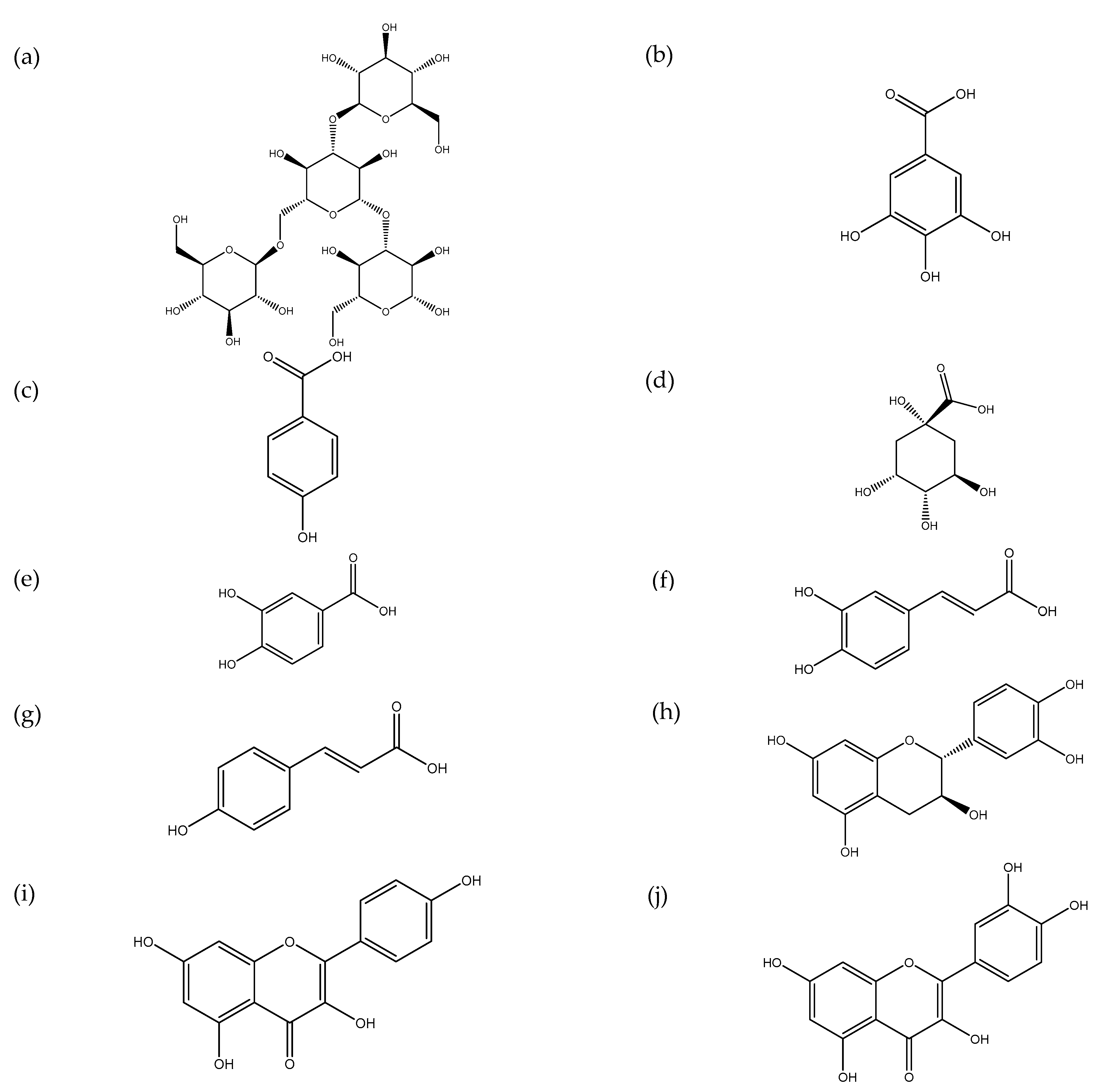Microbiolres 14 00031 g003 Microbiolres 14 00031 g003