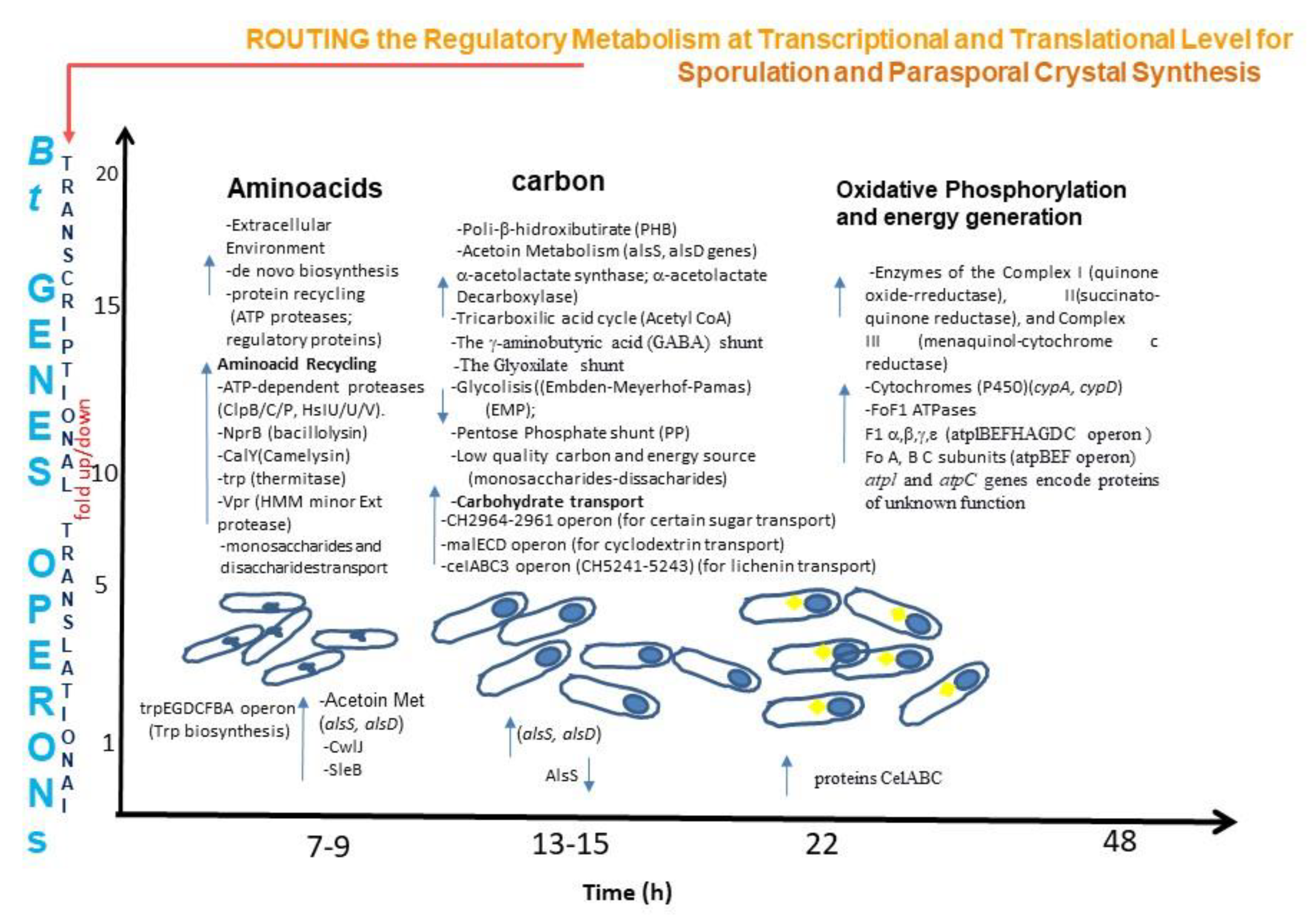 Microbiolres 14 00035 g002 Microbiolres 14 00035 g002