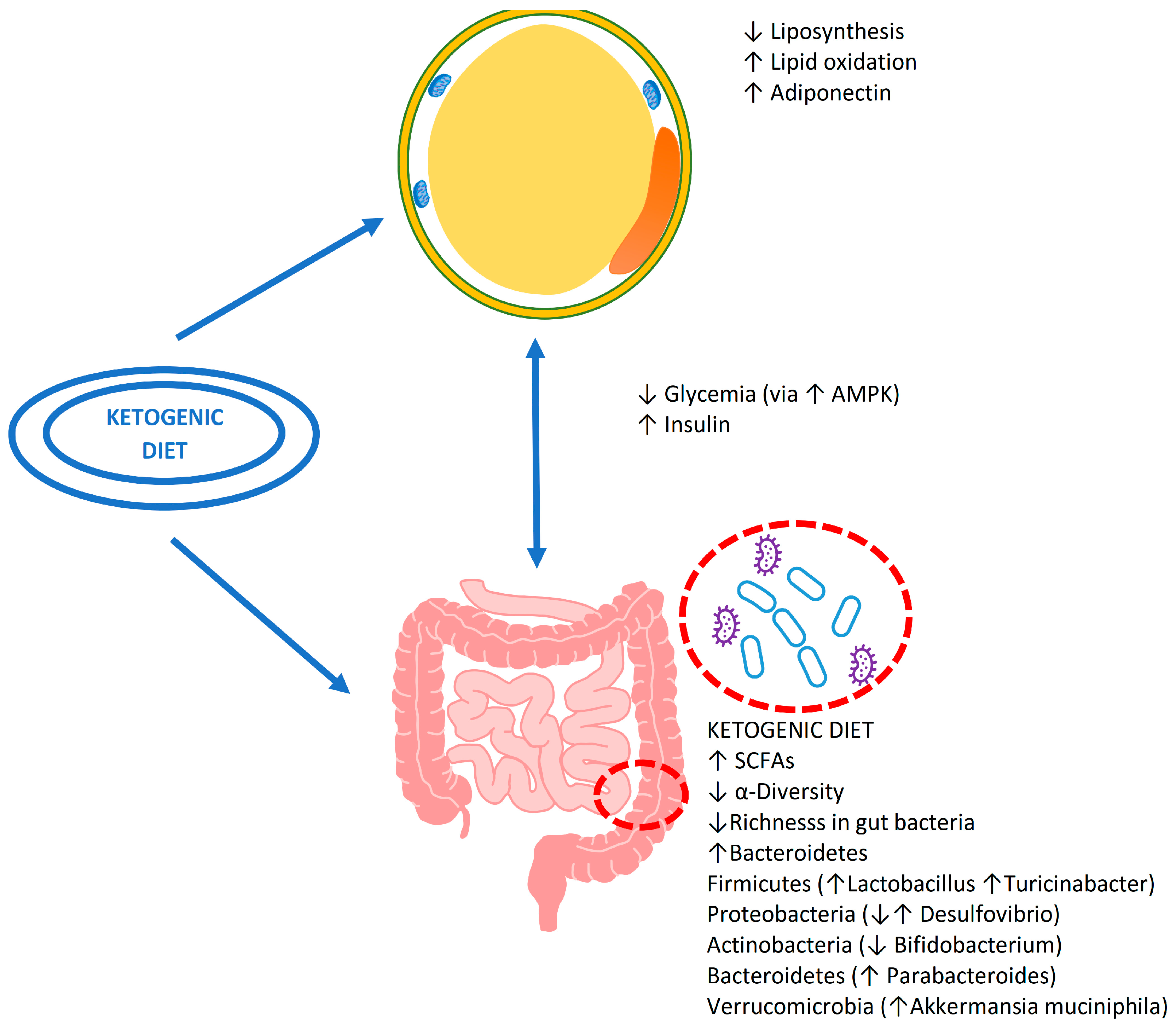 Microbiolres 14 00036 g001 Microbiolres 14 00036 g001