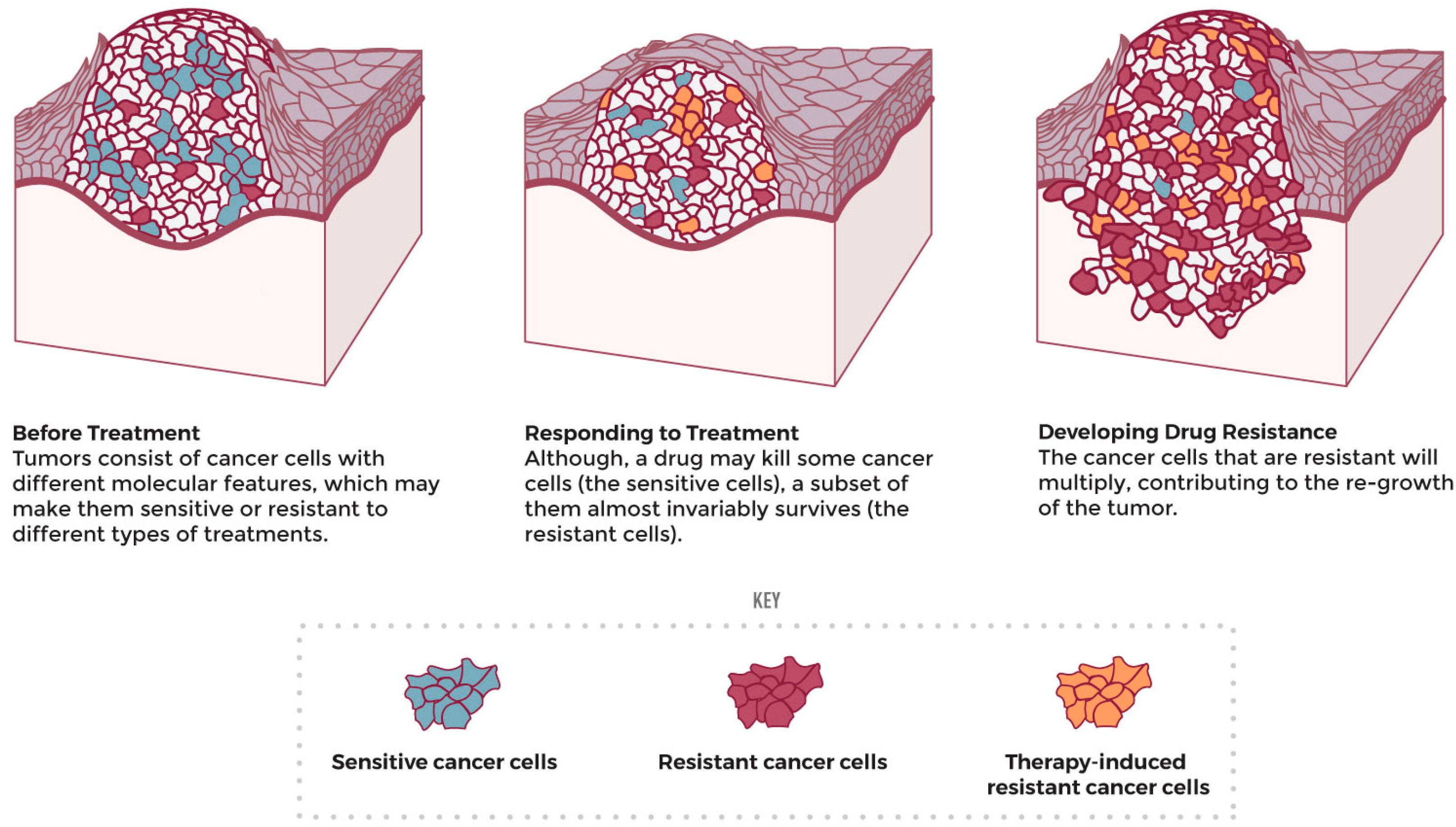 Microbiolres 14 00037 g006 Microbiolres 14 00037 g006
