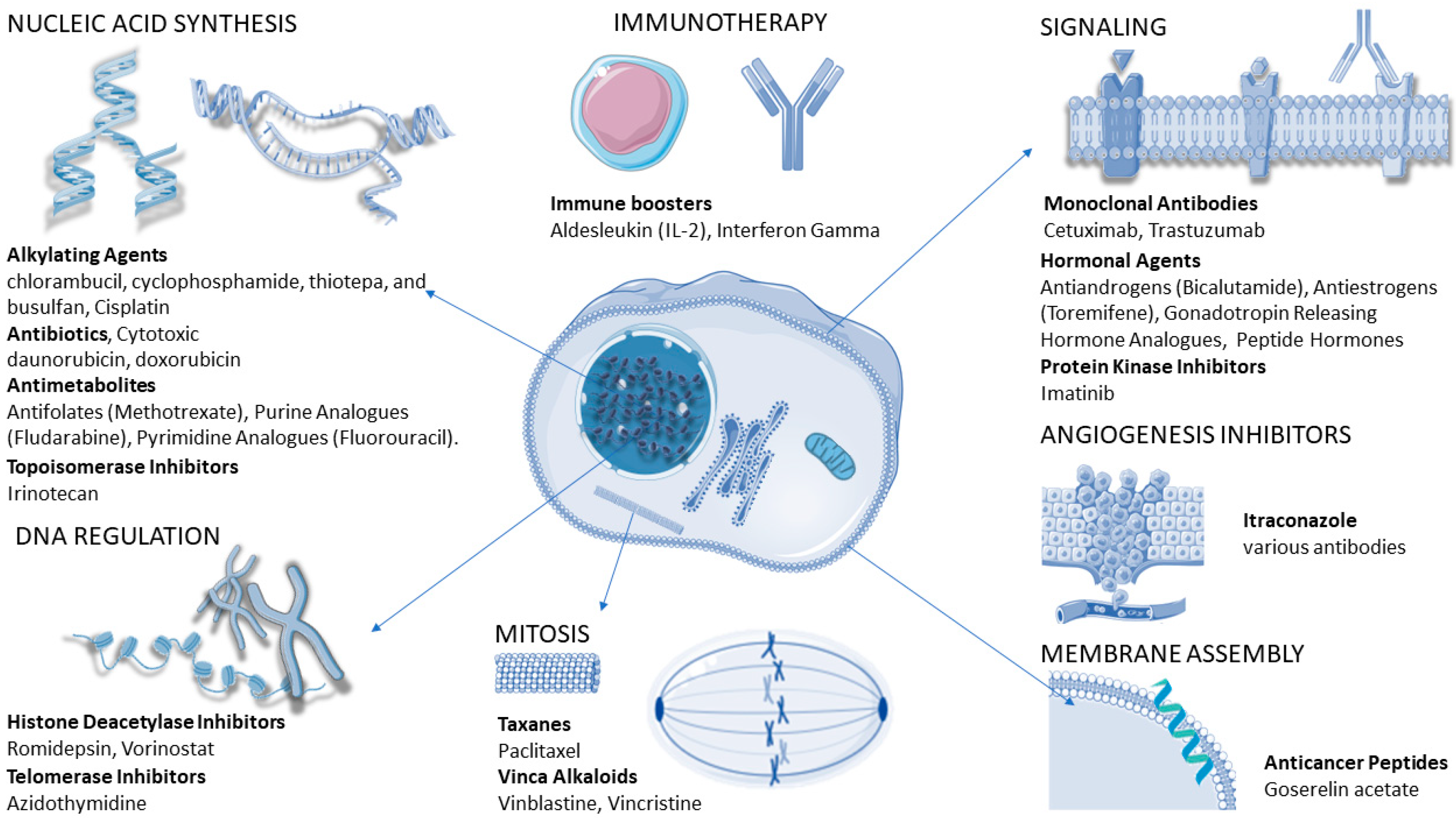 Microbiolres 14 00037 g007 Microbiolres 14 00037 g007
