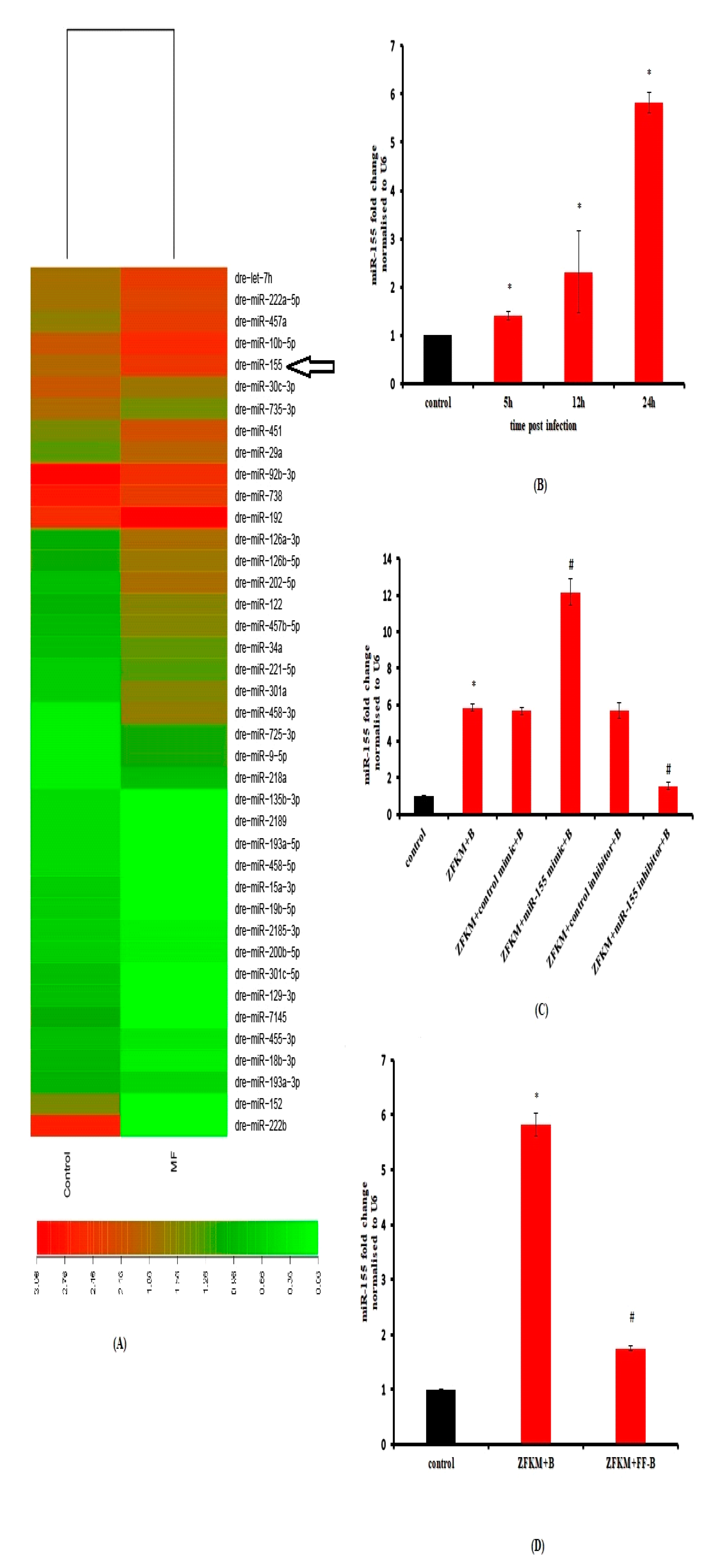 Microbiolres 14 00039 g002 Microbiolres 14 00039 g002