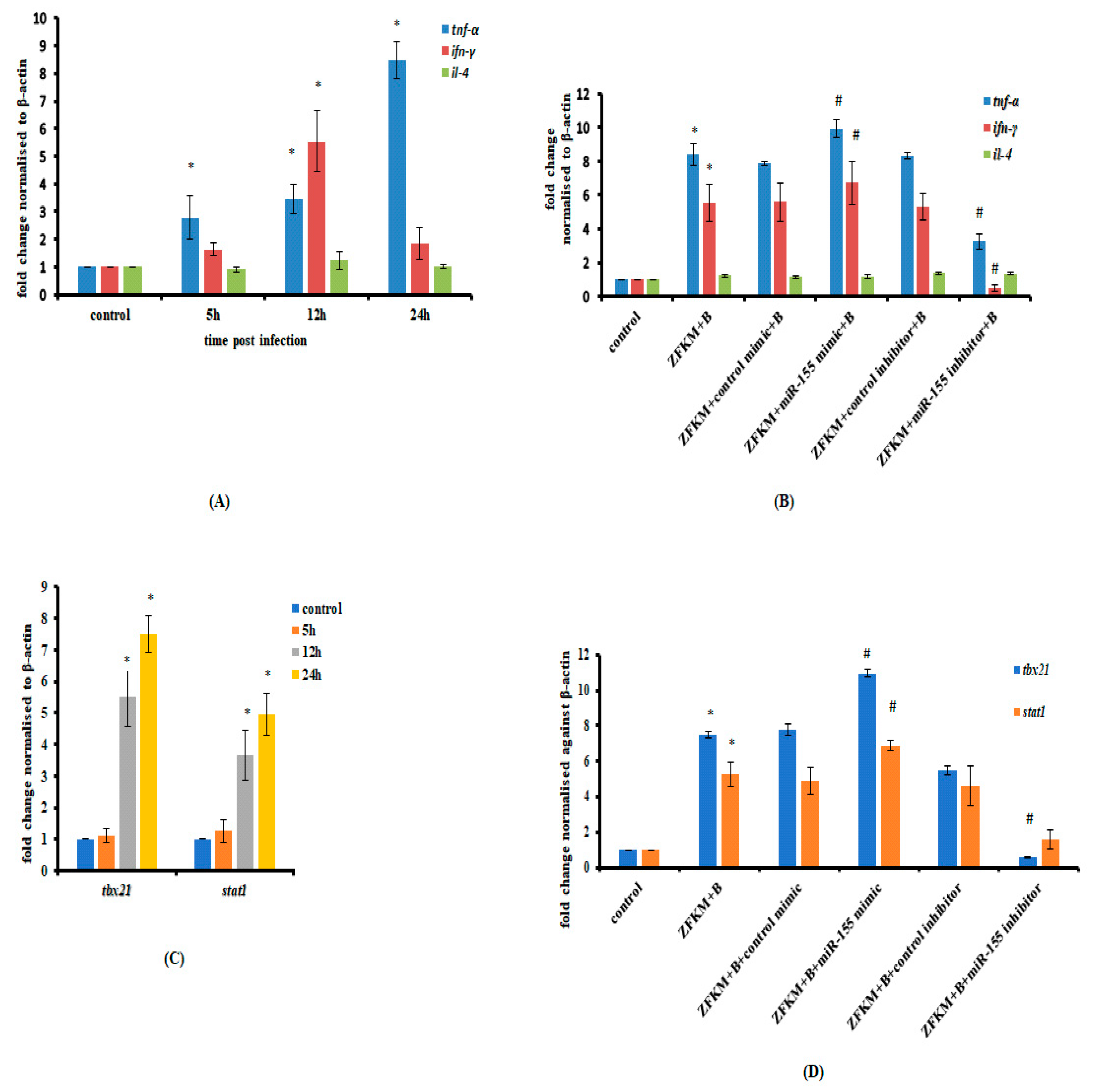 Microbiolres 14 00039 g004 Microbiolres 14 00039 g004