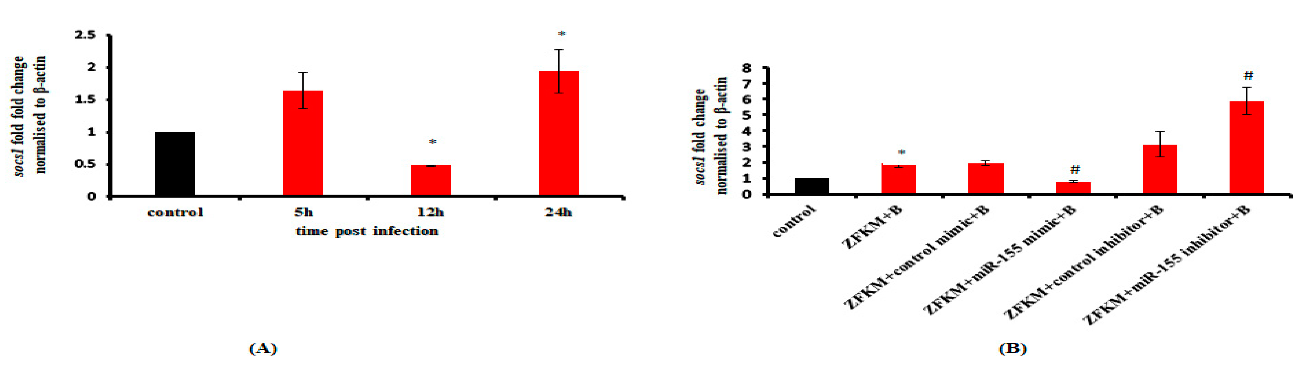 Microbiolres 14 00039 g006 Microbiolres 14 00039 g006