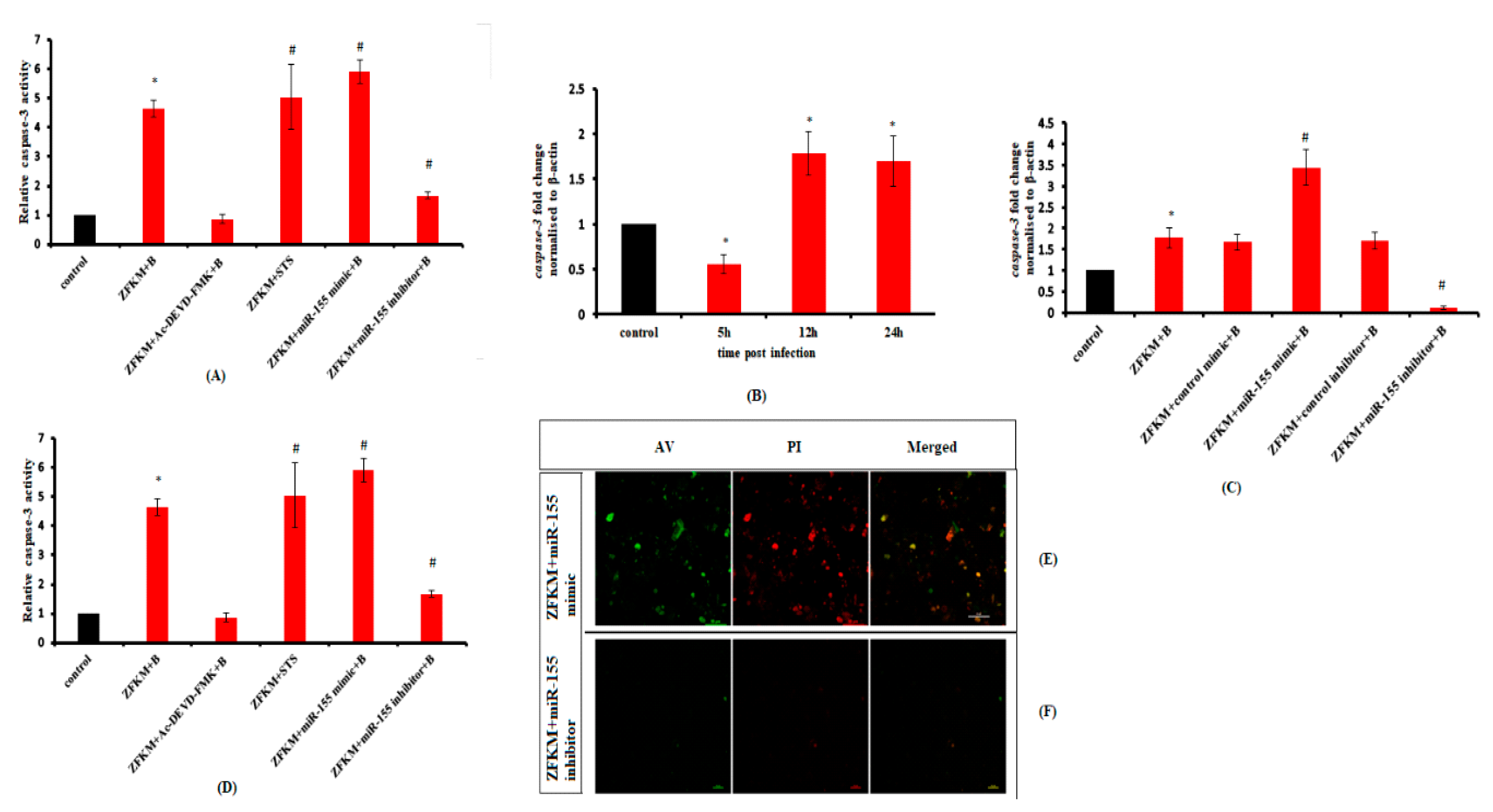 Microbiolres 14 00039 g007 Microbiolres 14 00039 g007