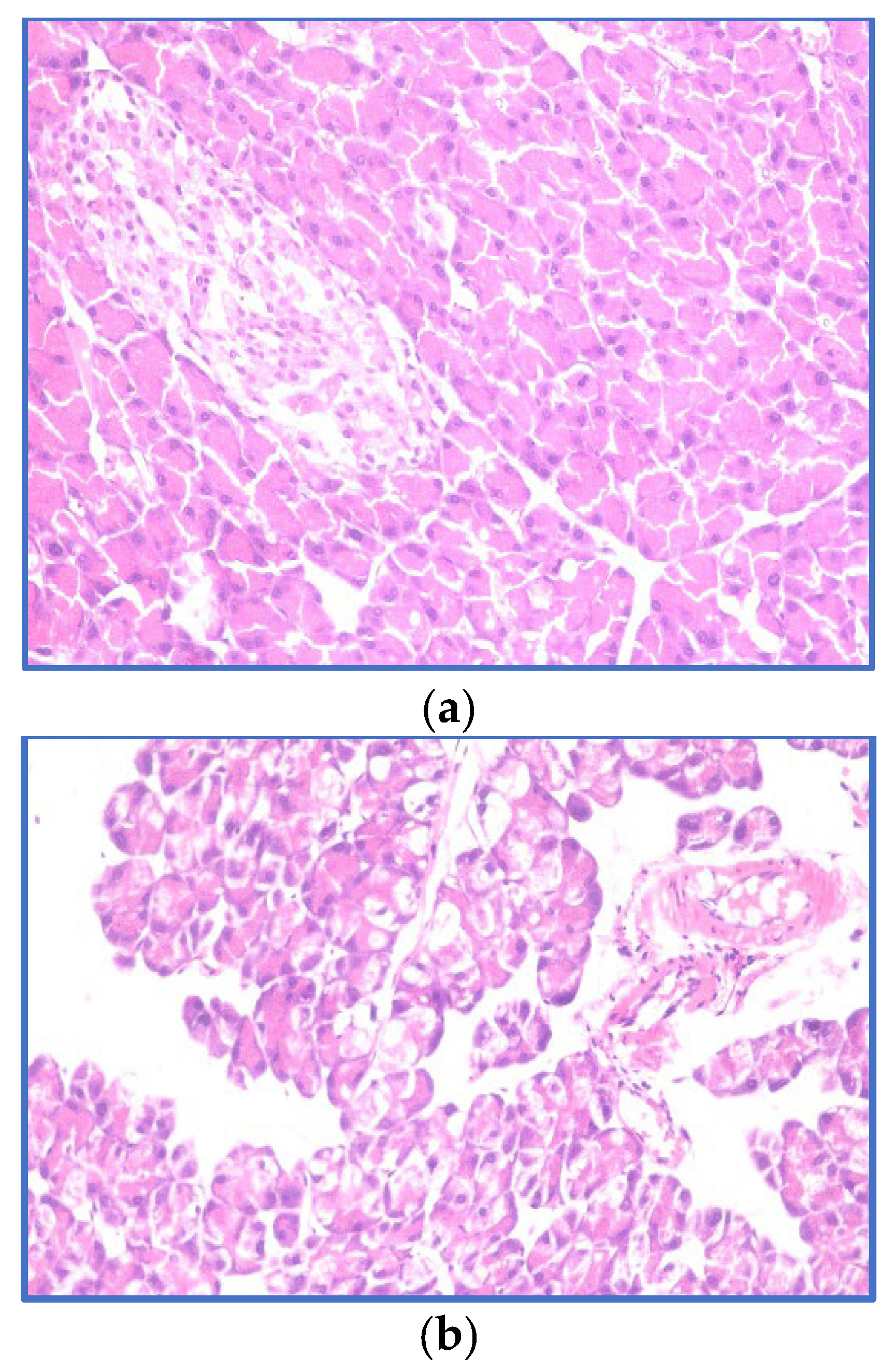 Microbiolres 14 00043 g003a Microbiolres 14 00043 g003a