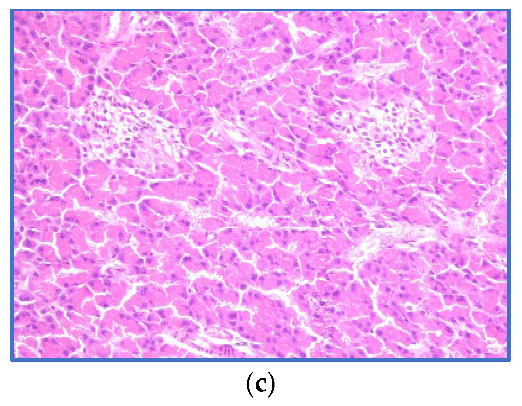Microbiolres 14 00043 g003b Microbiolres 14 00043 g003b