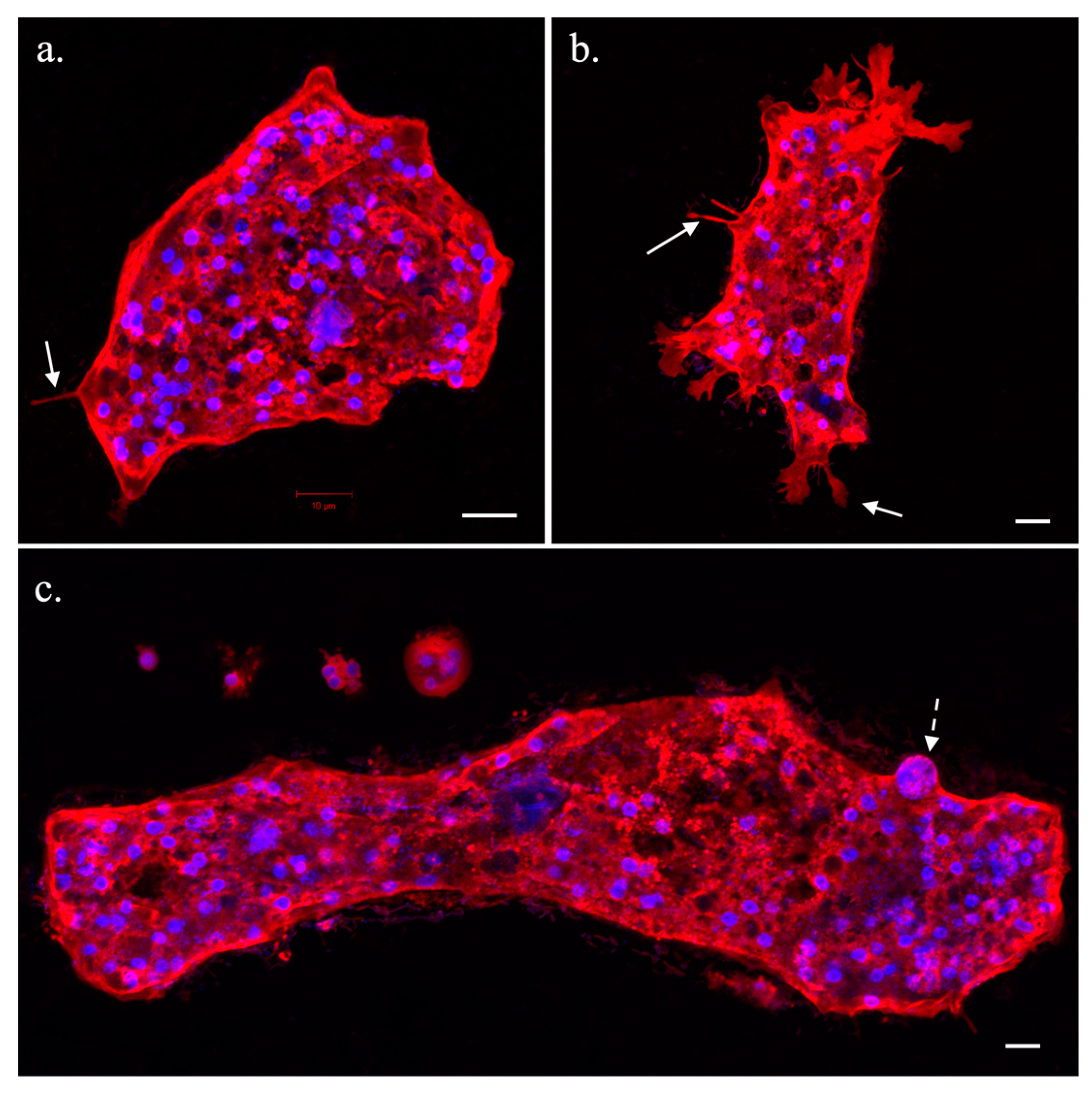 Microbiolres 14 00047 g002