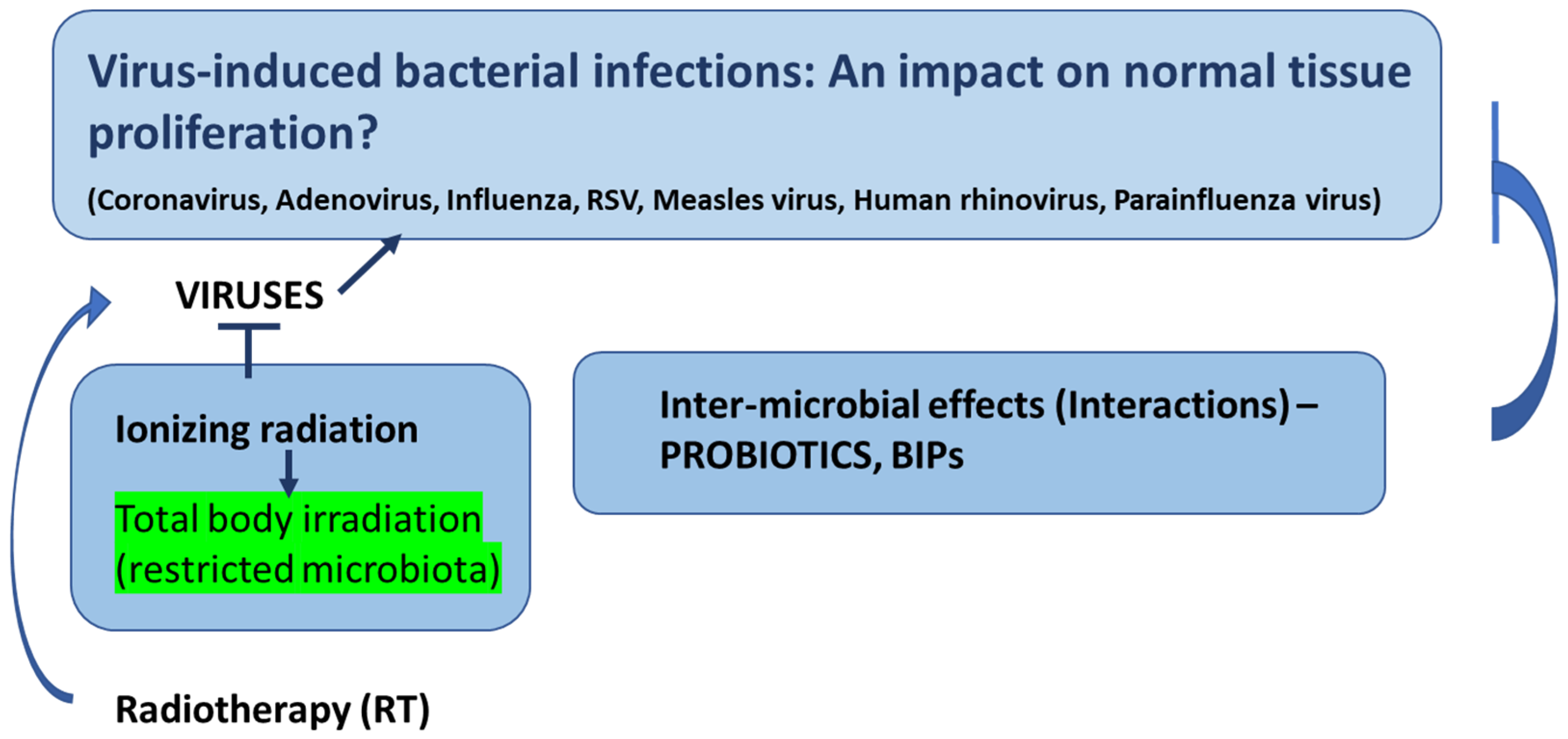 Microbiolres 14 00048 sch002 Microbiolres 14 00048 sch002