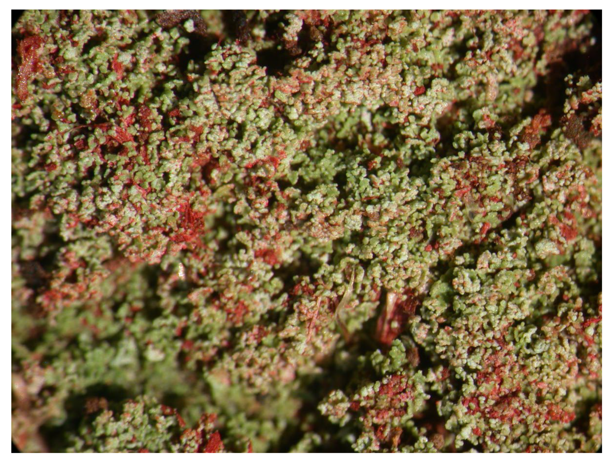 Microbiolres 14 00054 g024