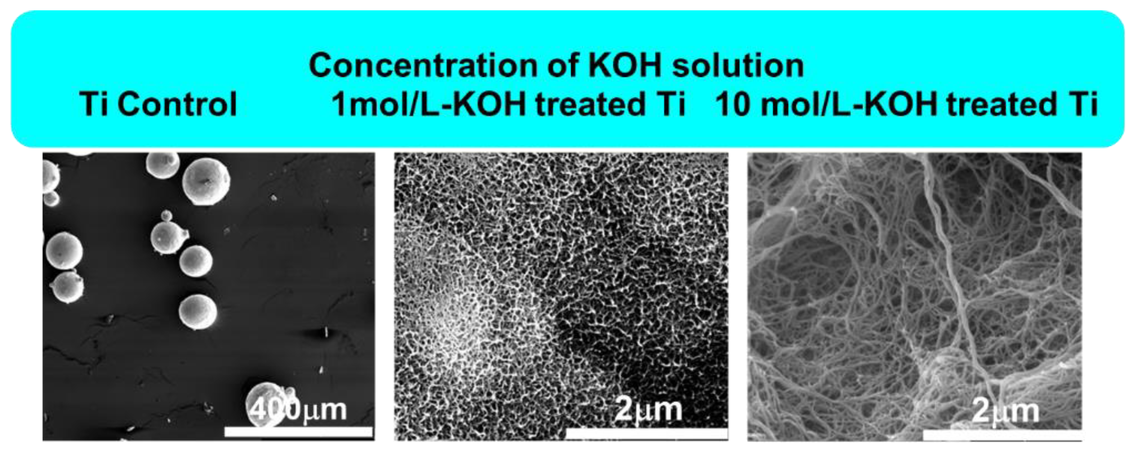 Microbiolres 14 00055 g001