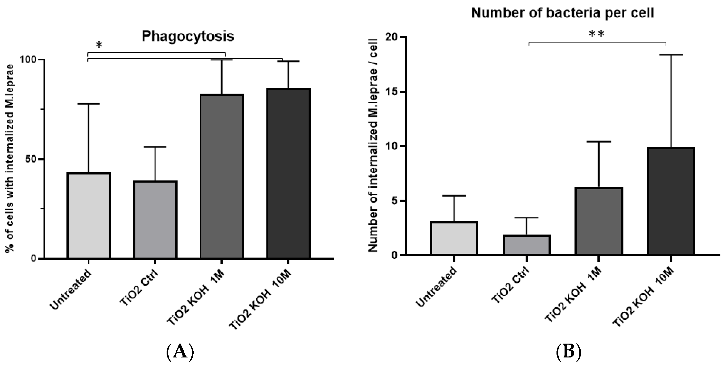 Microbiolres 14 00055 g004