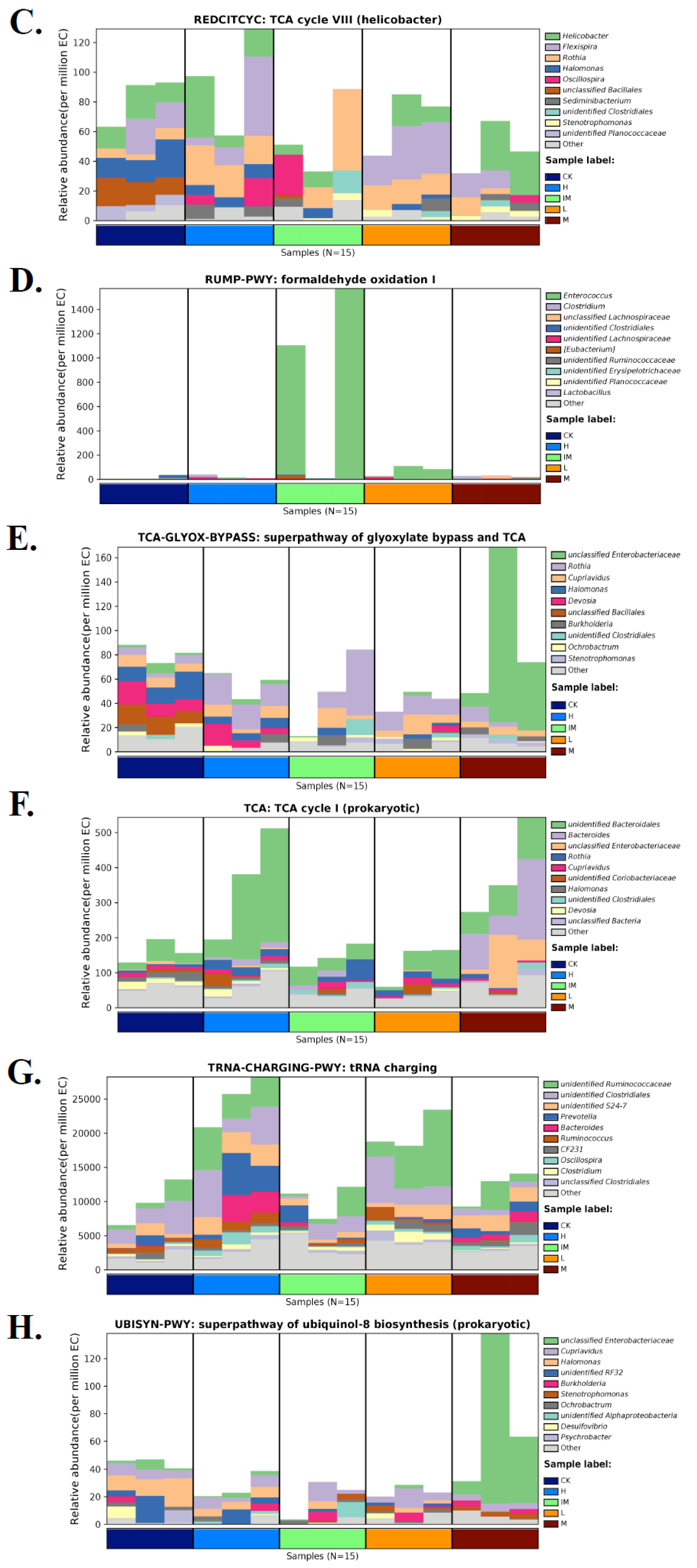 Microbiolres 14 00059 g007b Microbiolres 14 00059 g007b