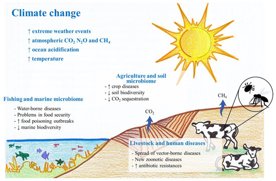 Microorganisms and Climate Change: A Not So Invisible Effect