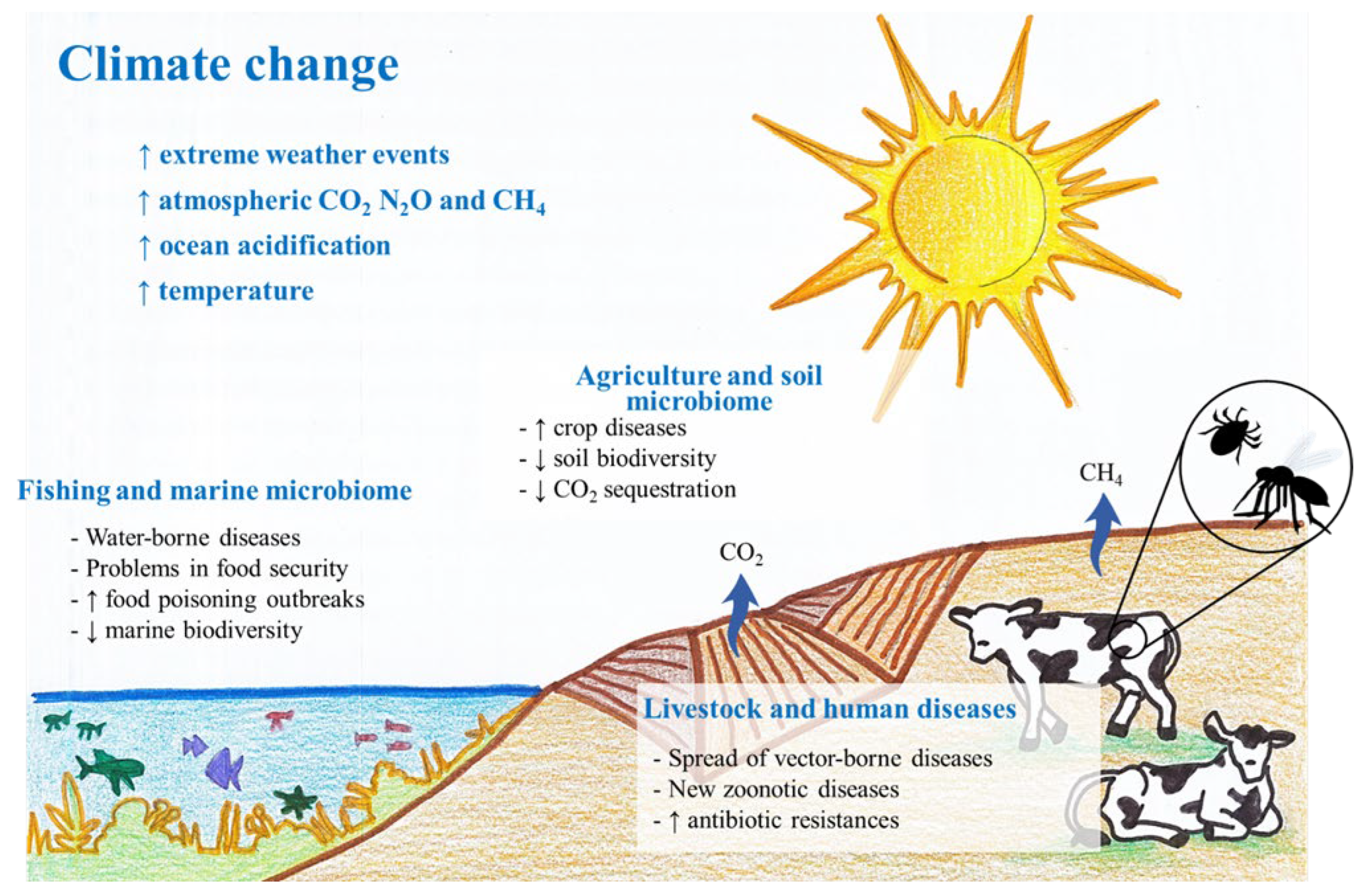 Change of season: does it have effects on our body?