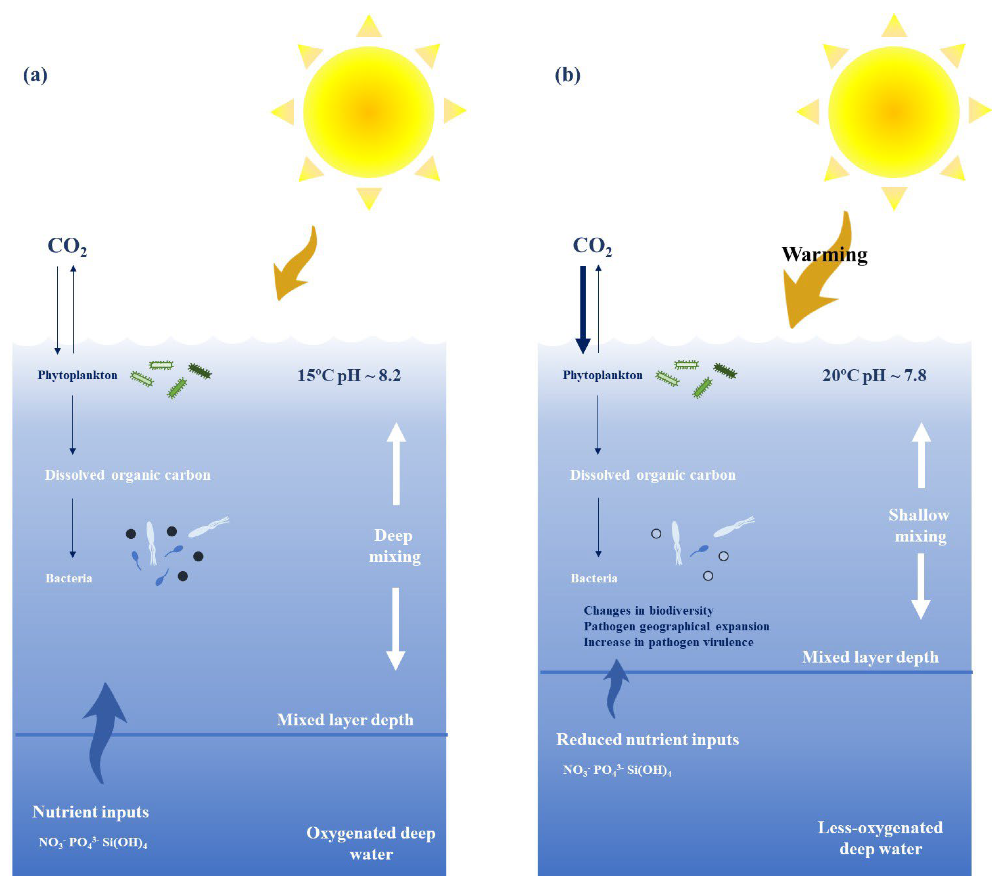 Microbiolres 14 00064 g002