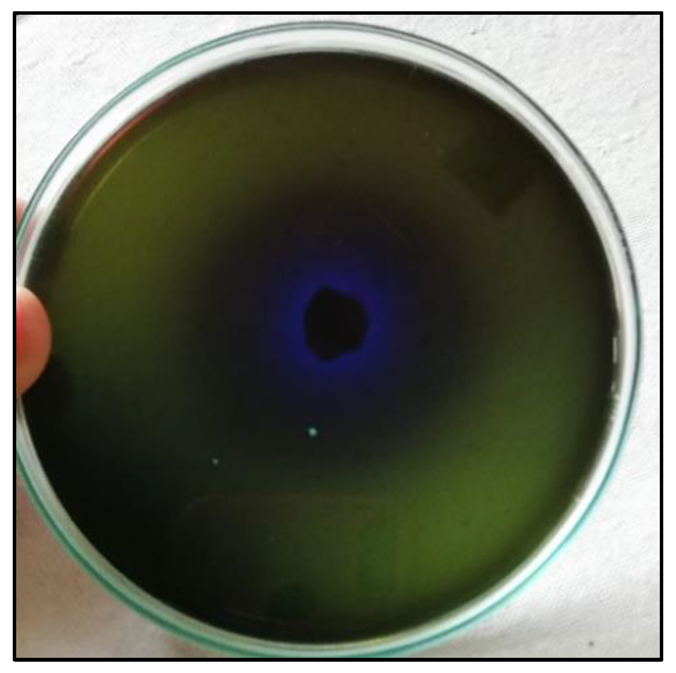 Microbiolres 14 00066 g001