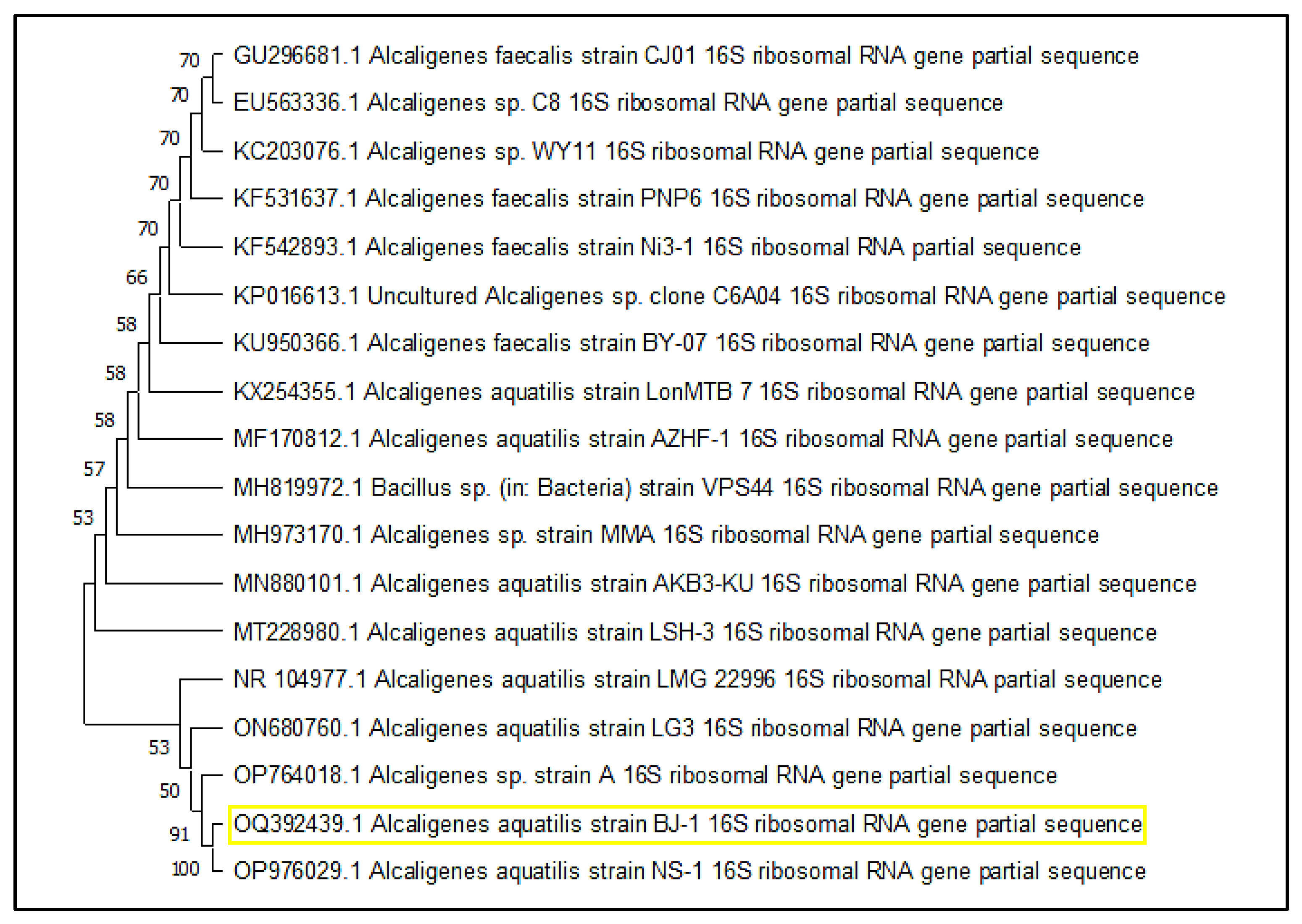 Microbiolres 14 00066 g002