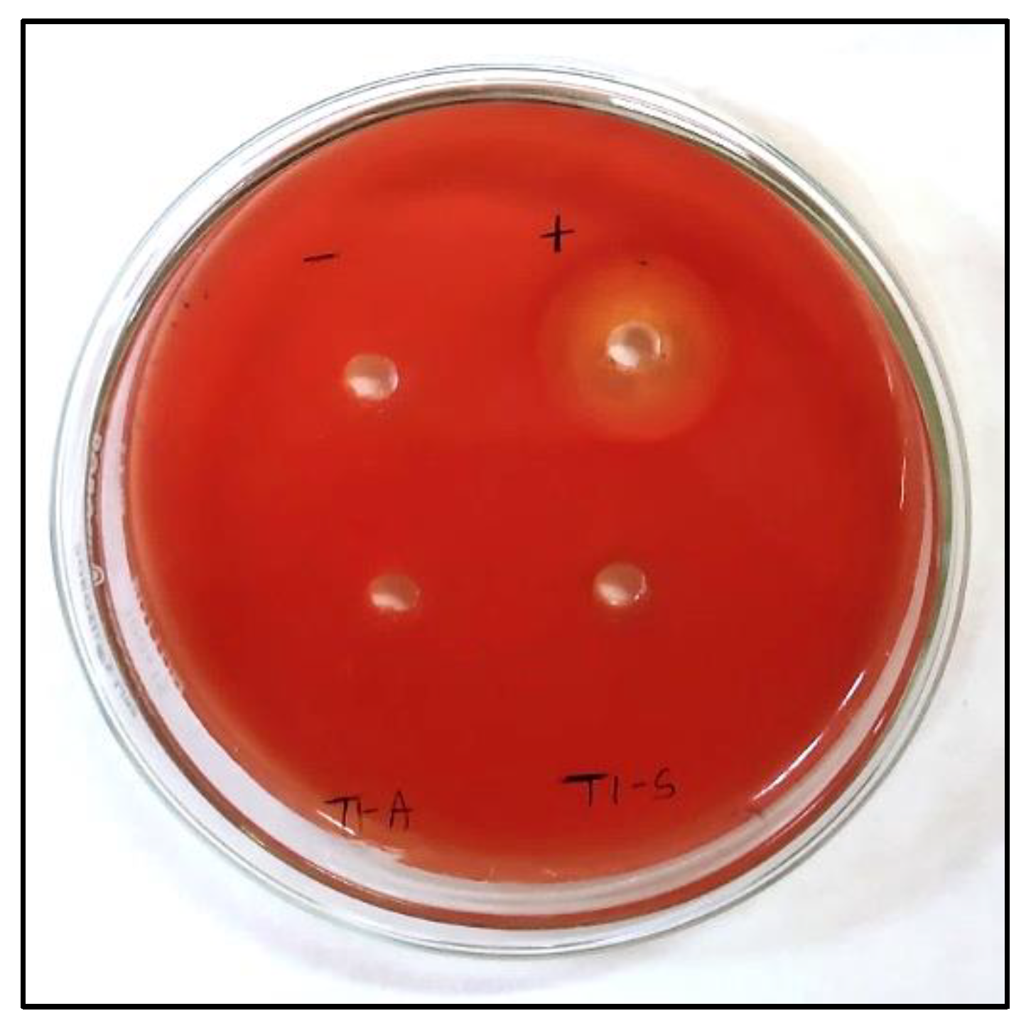 Microbiolres 14 00066 g009