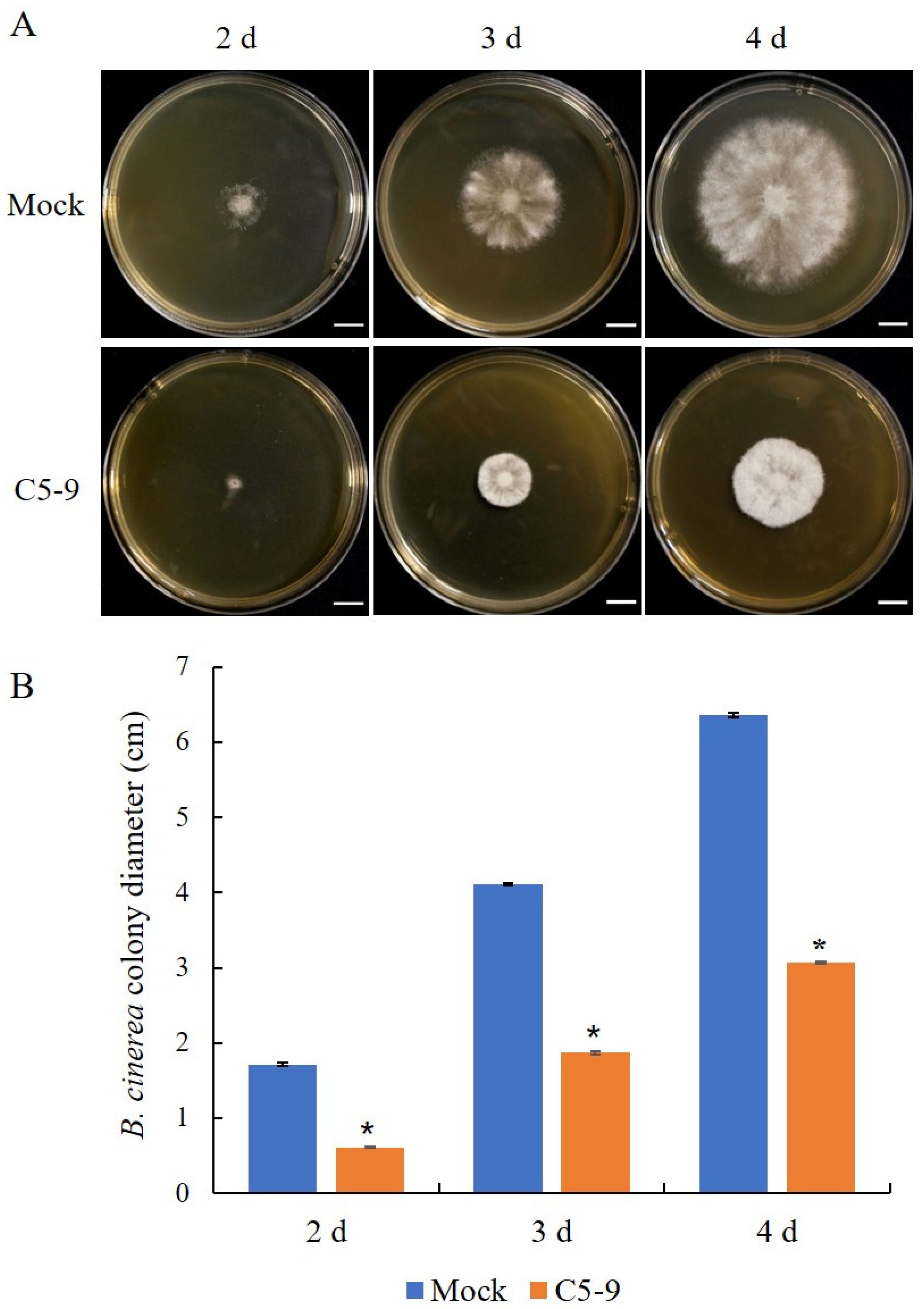 Microbiolres 14 00067 g003 Microbiolres 14 00067 g003