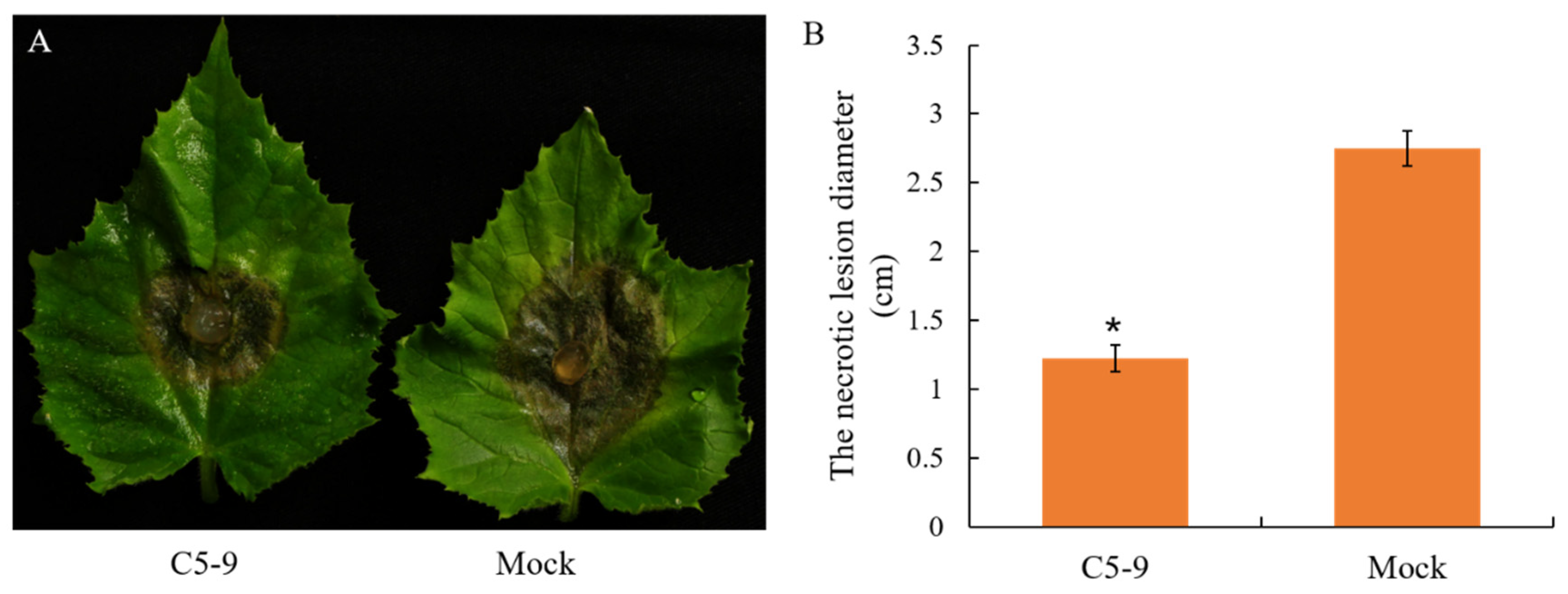 Microbiolres 14 00067 g004 Microbiolres 14 00067 g004
