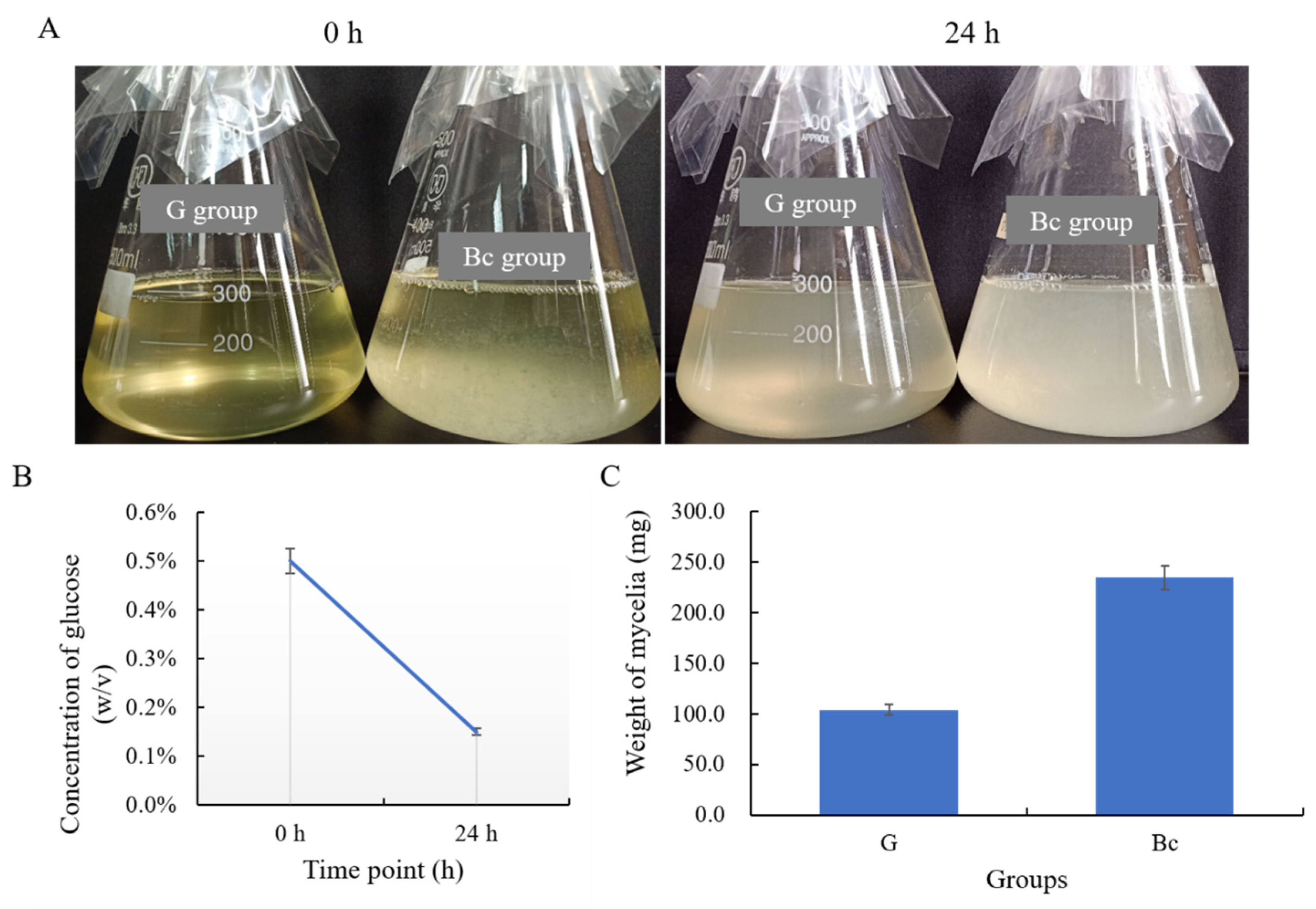 Microbiolres 14 00067 g005 Microbiolres 14 00067 g005
