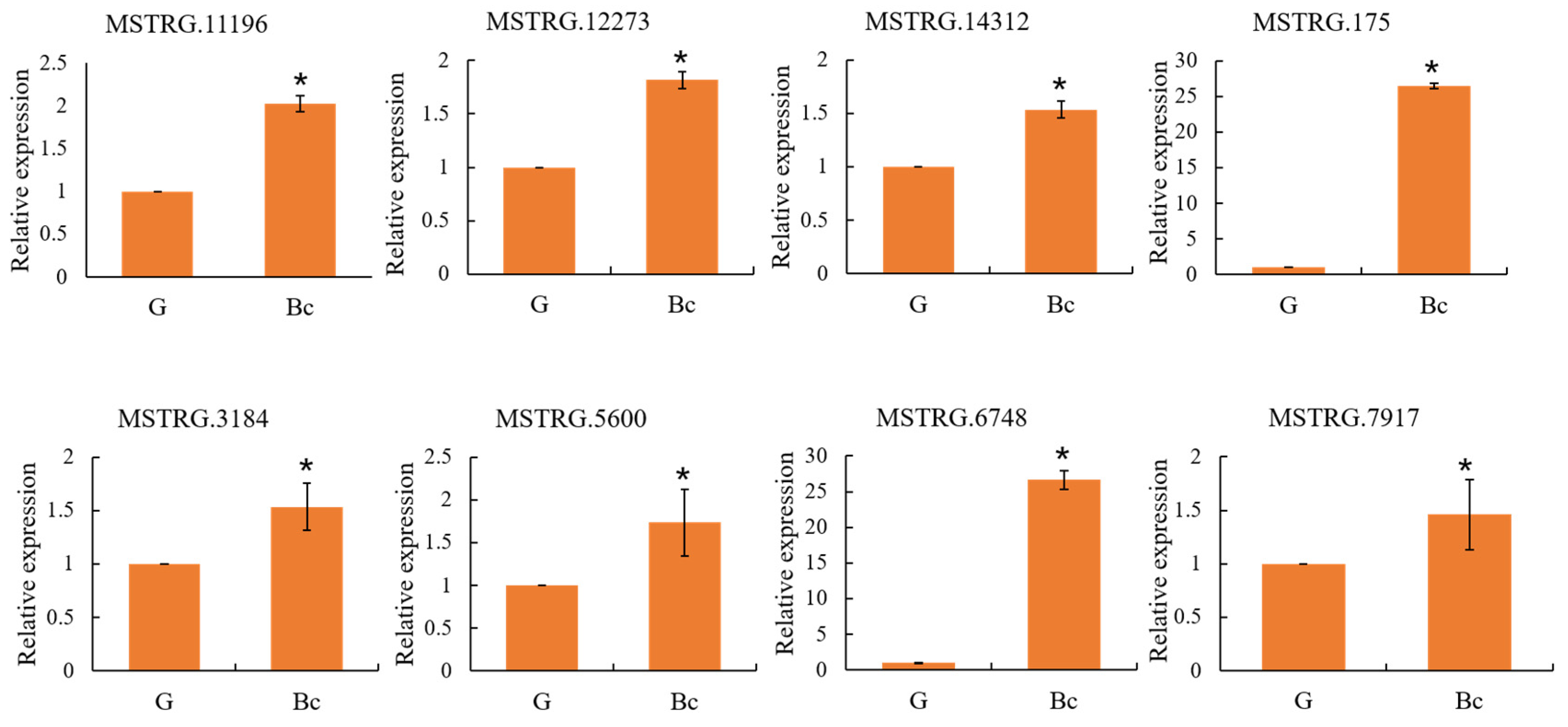 Microbiolres 14 00067 g008 Microbiolres 14 00067 g008