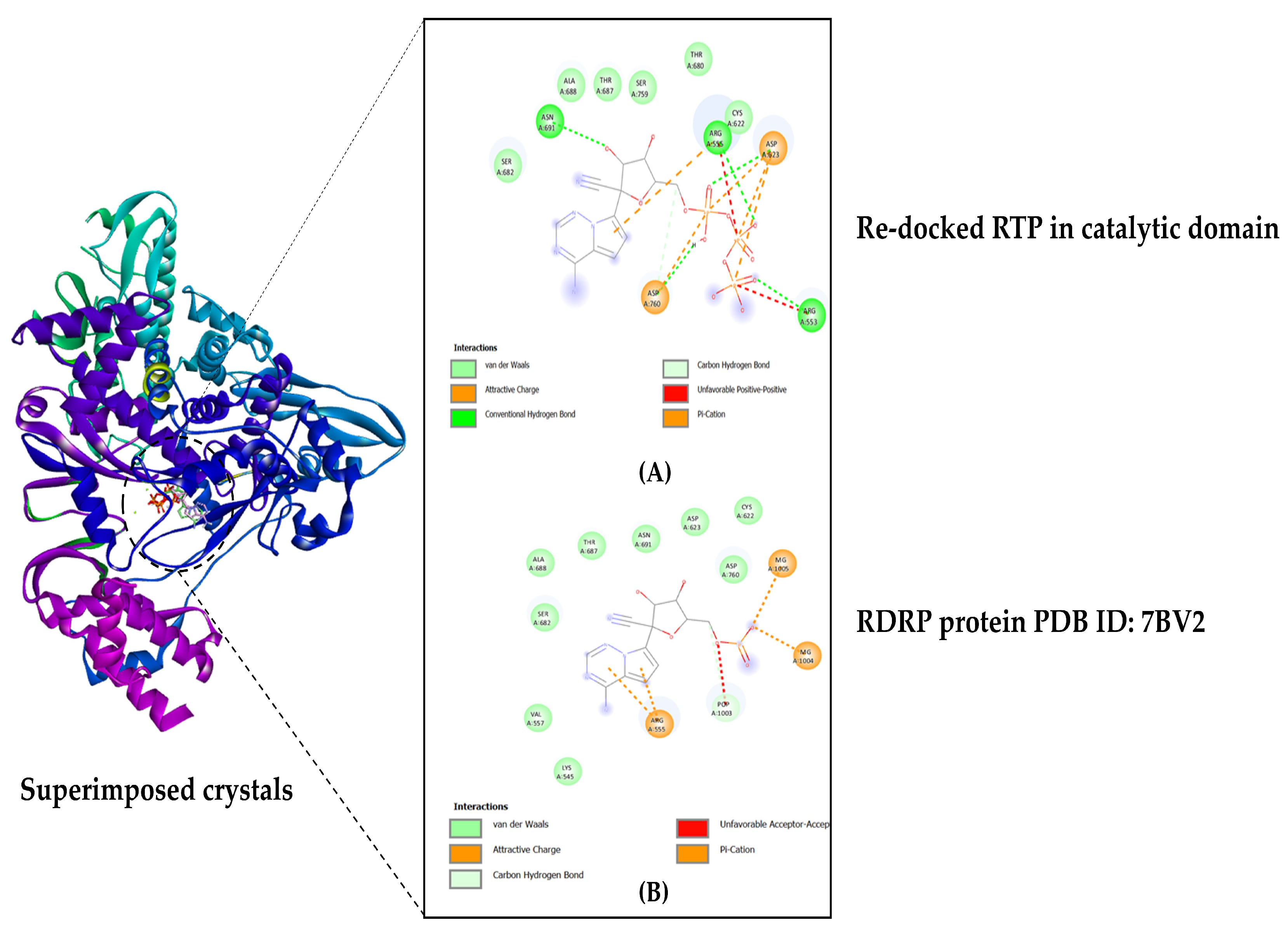 Microbiolres 14 00069 g002 Microbiolres 14 00069 g002