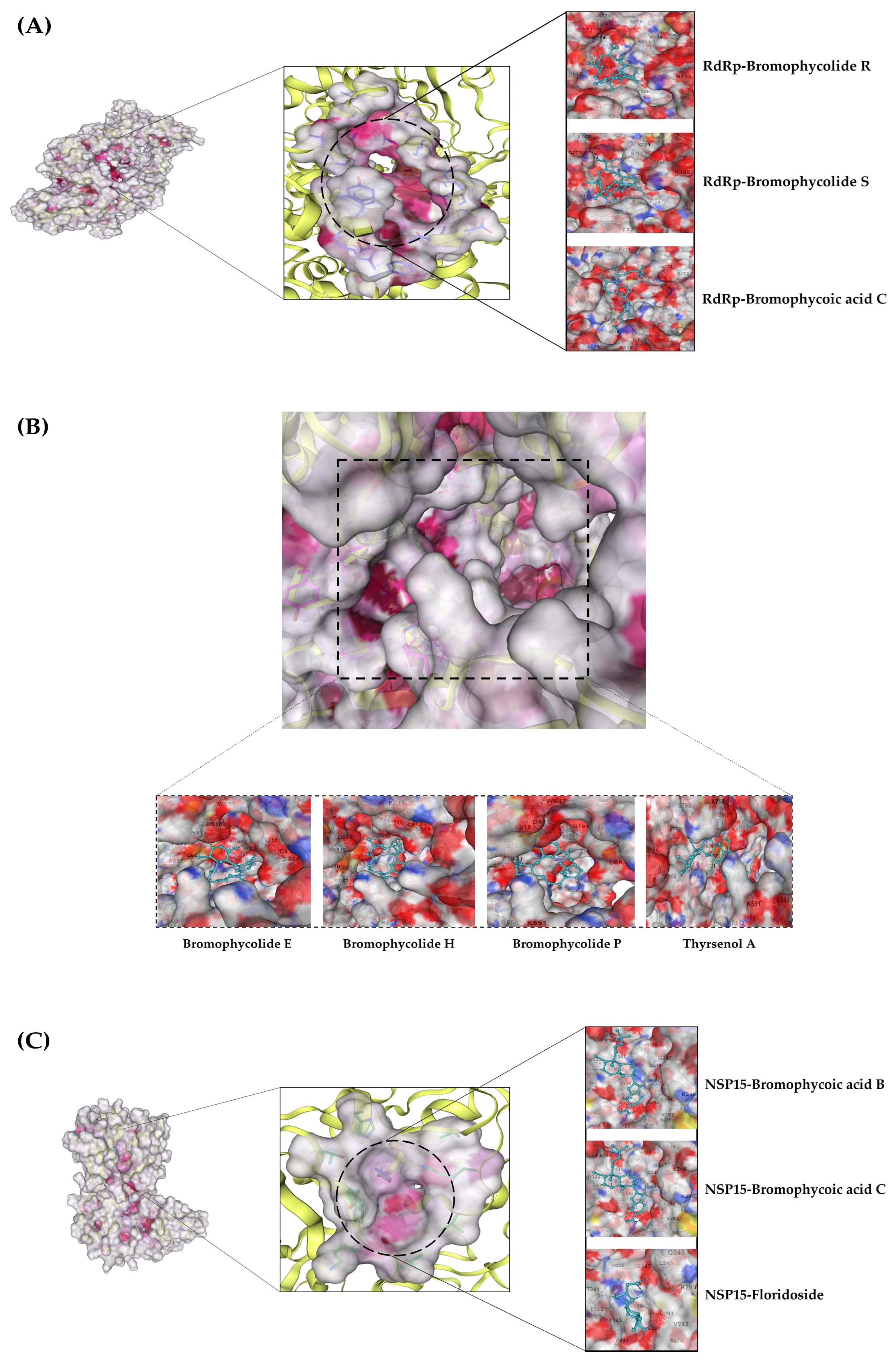 Microbiolres 14 00069 g003 Microbiolres 14 00069 g003