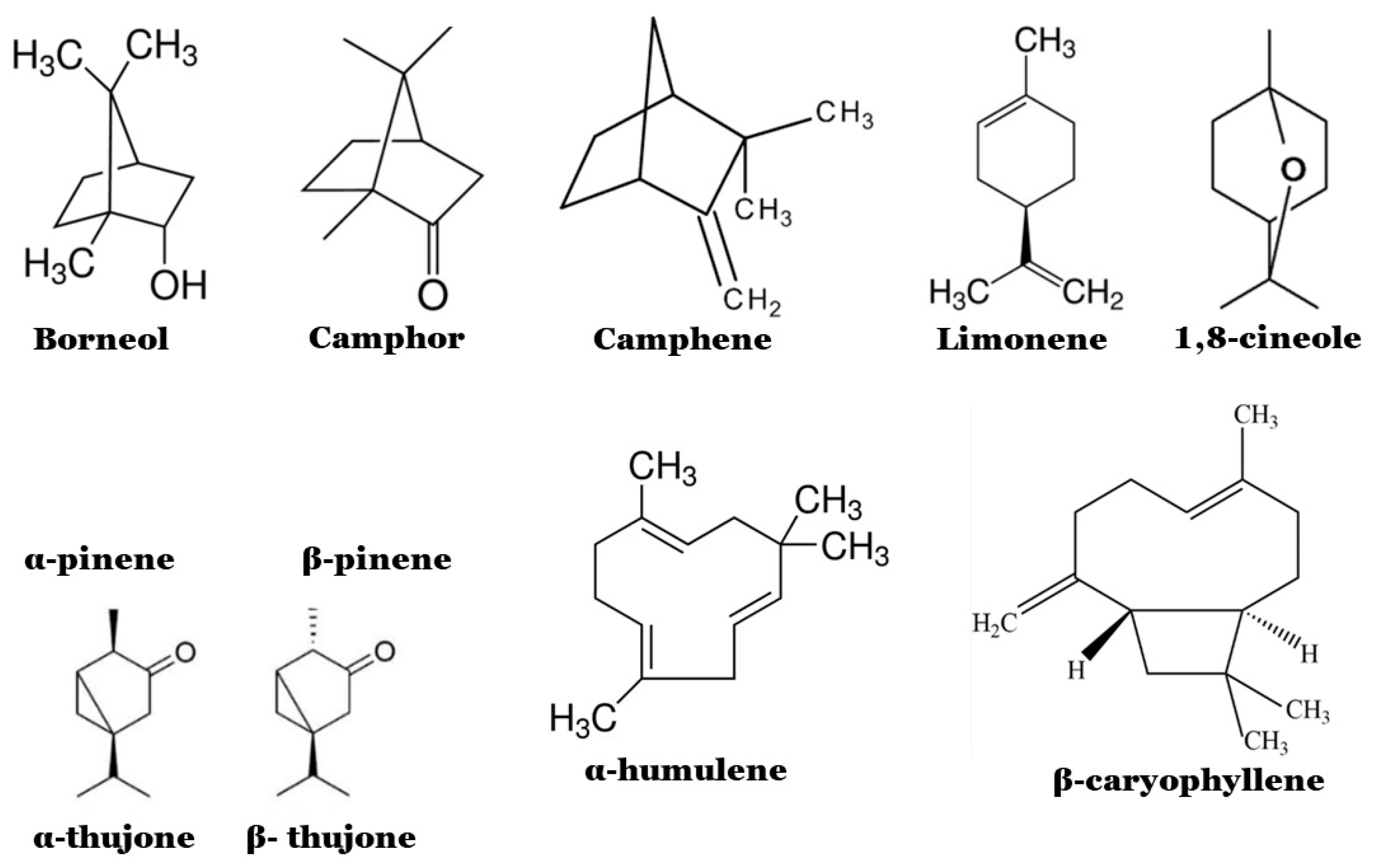 Microbiolres 14 00073 g001 Microbiolres 14 00073 g001