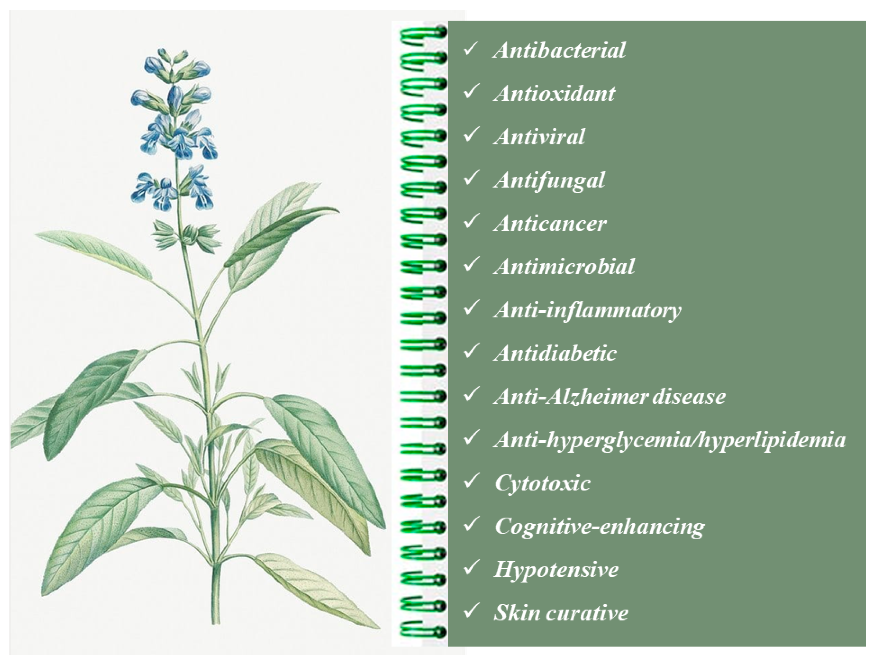 Microbiolres 14 00073 g002 Microbiolres 14 00073 g002