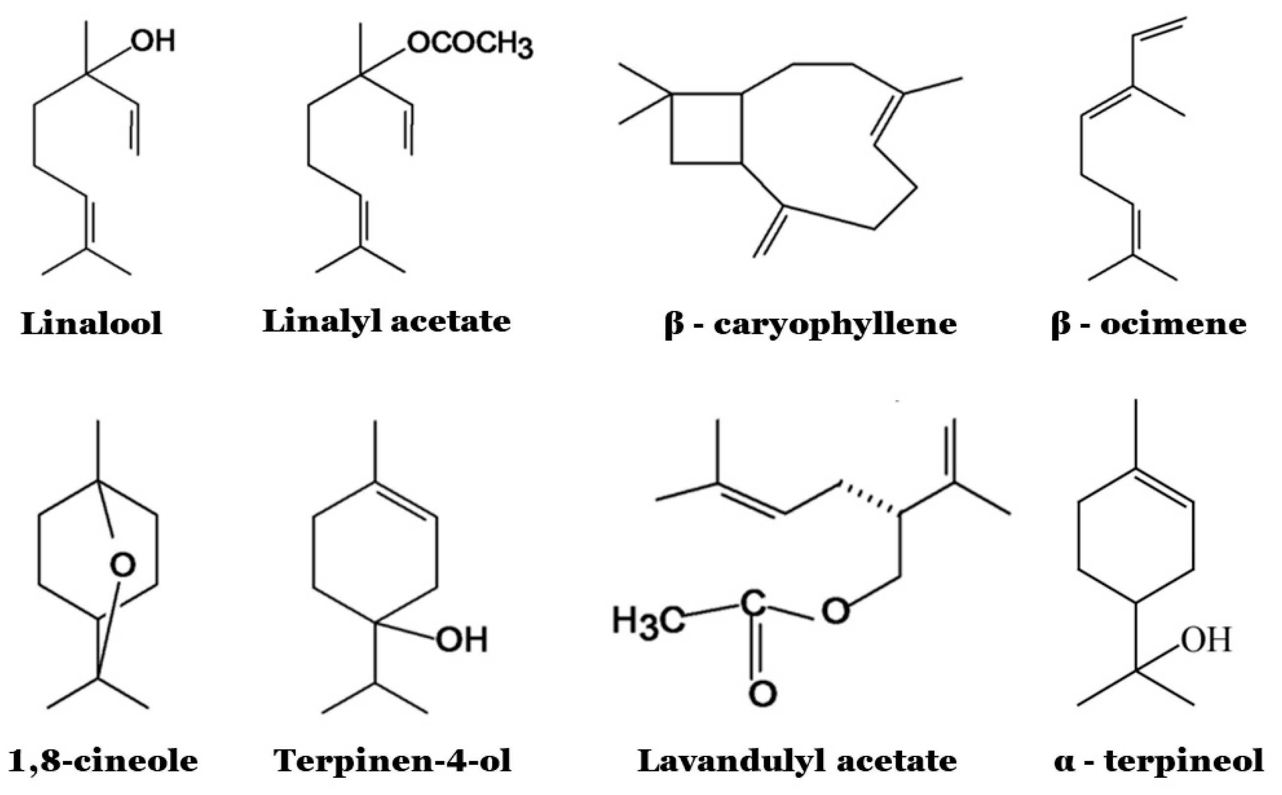 Microbiolres 14 00073 g003 Microbiolres 14 00073 g003