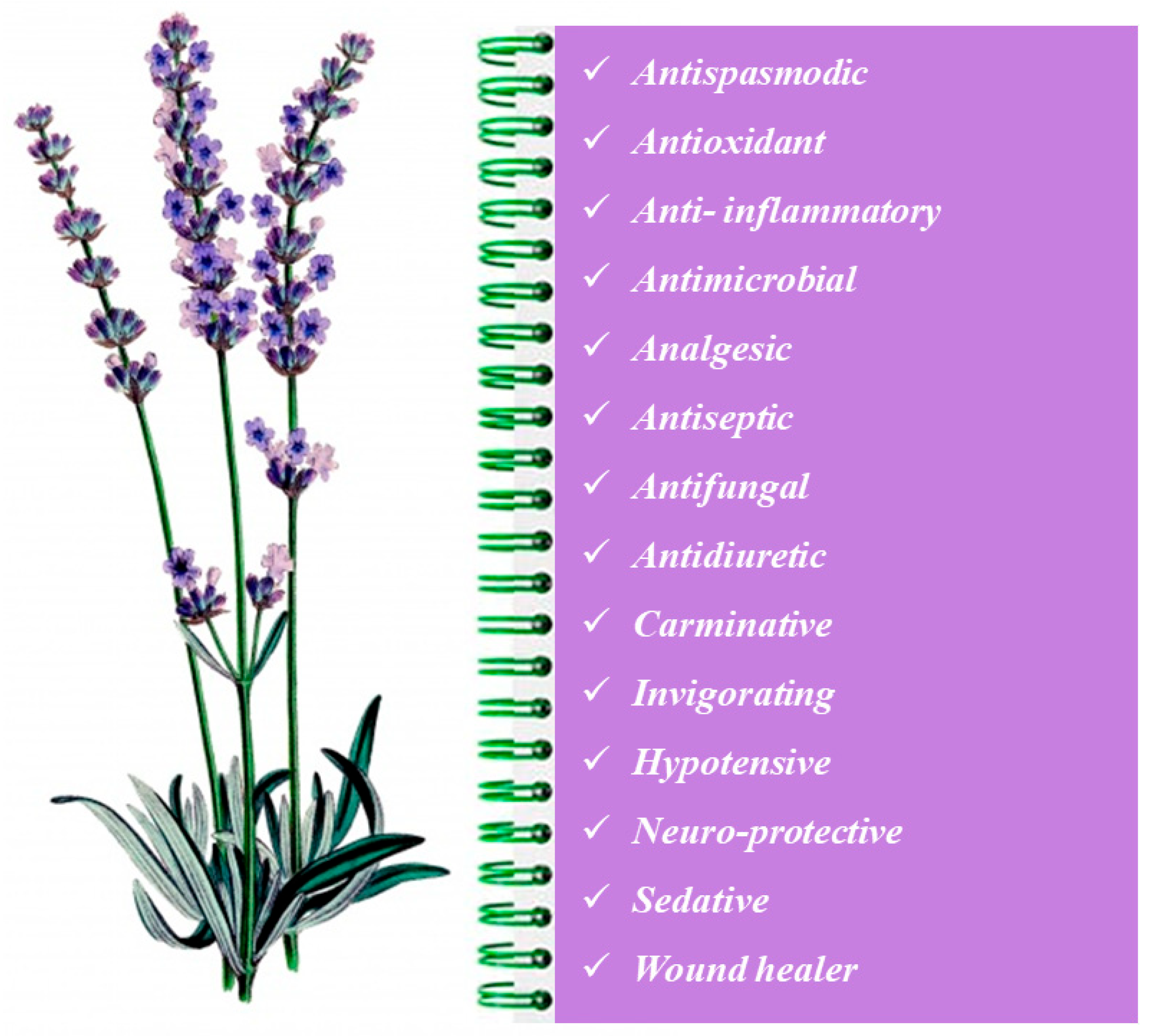 Microbiolres 14 00073 g004 Microbiolres 14 00073 g004
