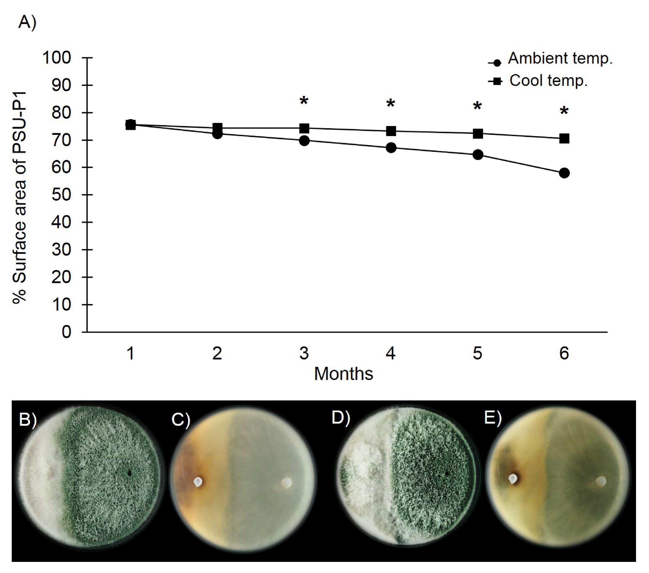 Microbiolres 14 00076 g005