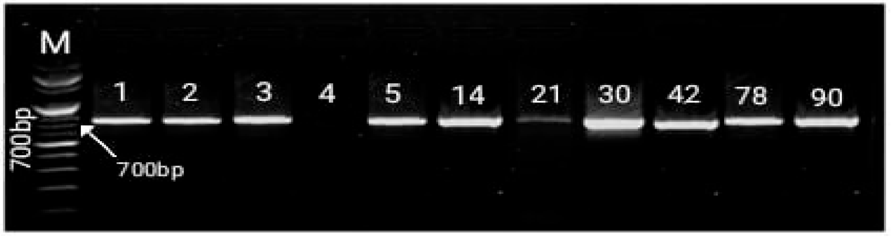 Microbiolres 14 00083 g005