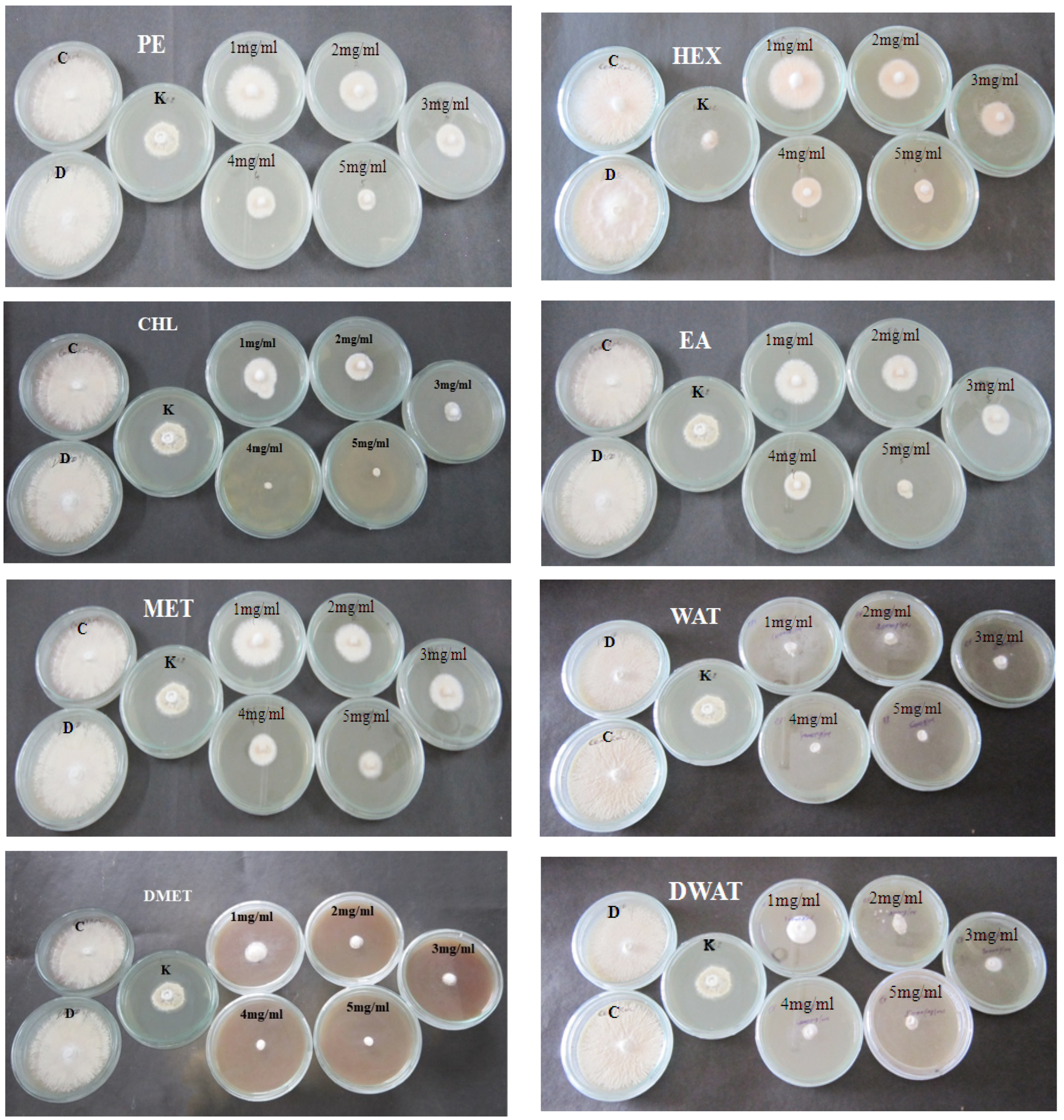 Microbiolres 14 00085 g002