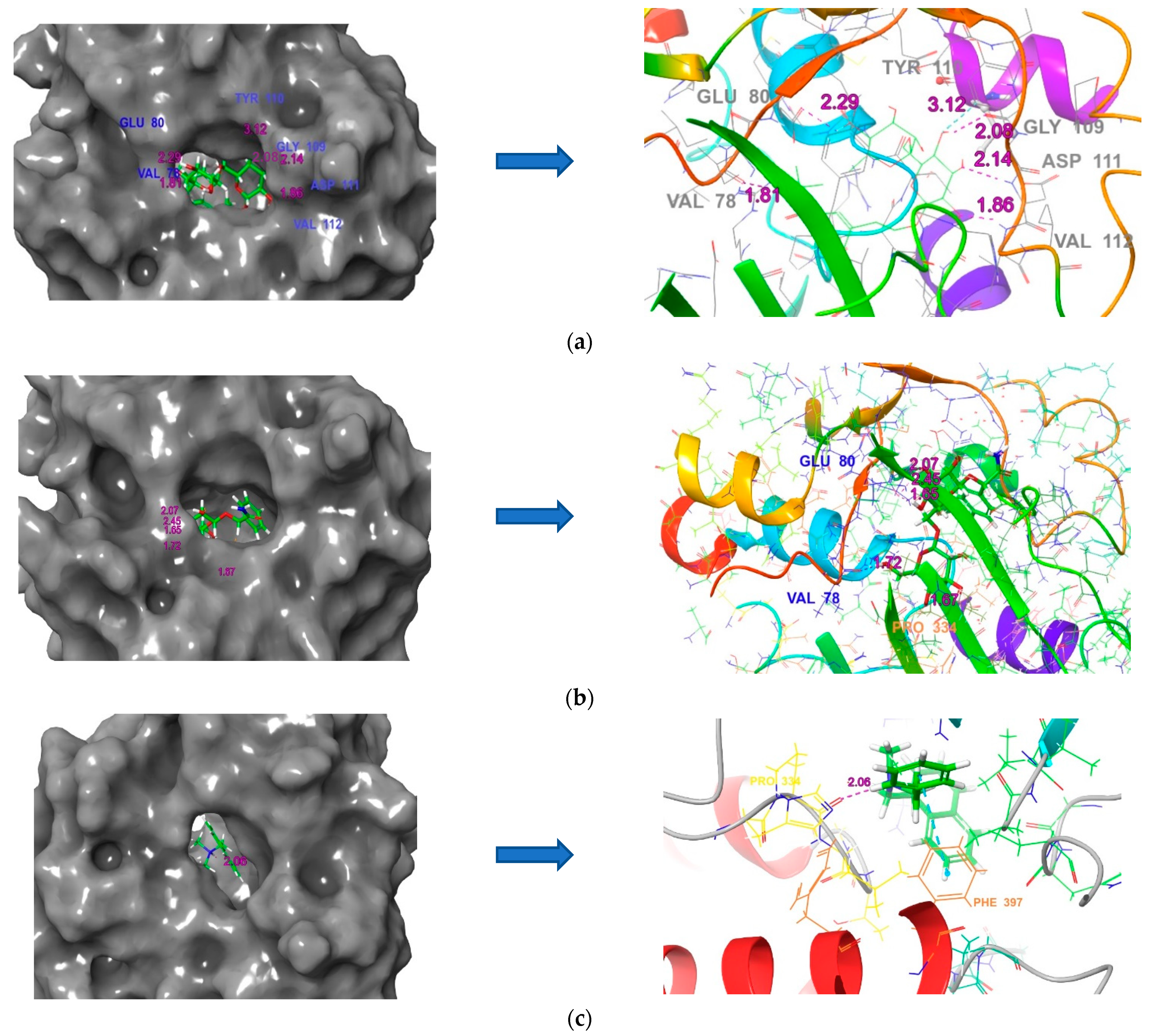 Microbiolres 14 00085 g006