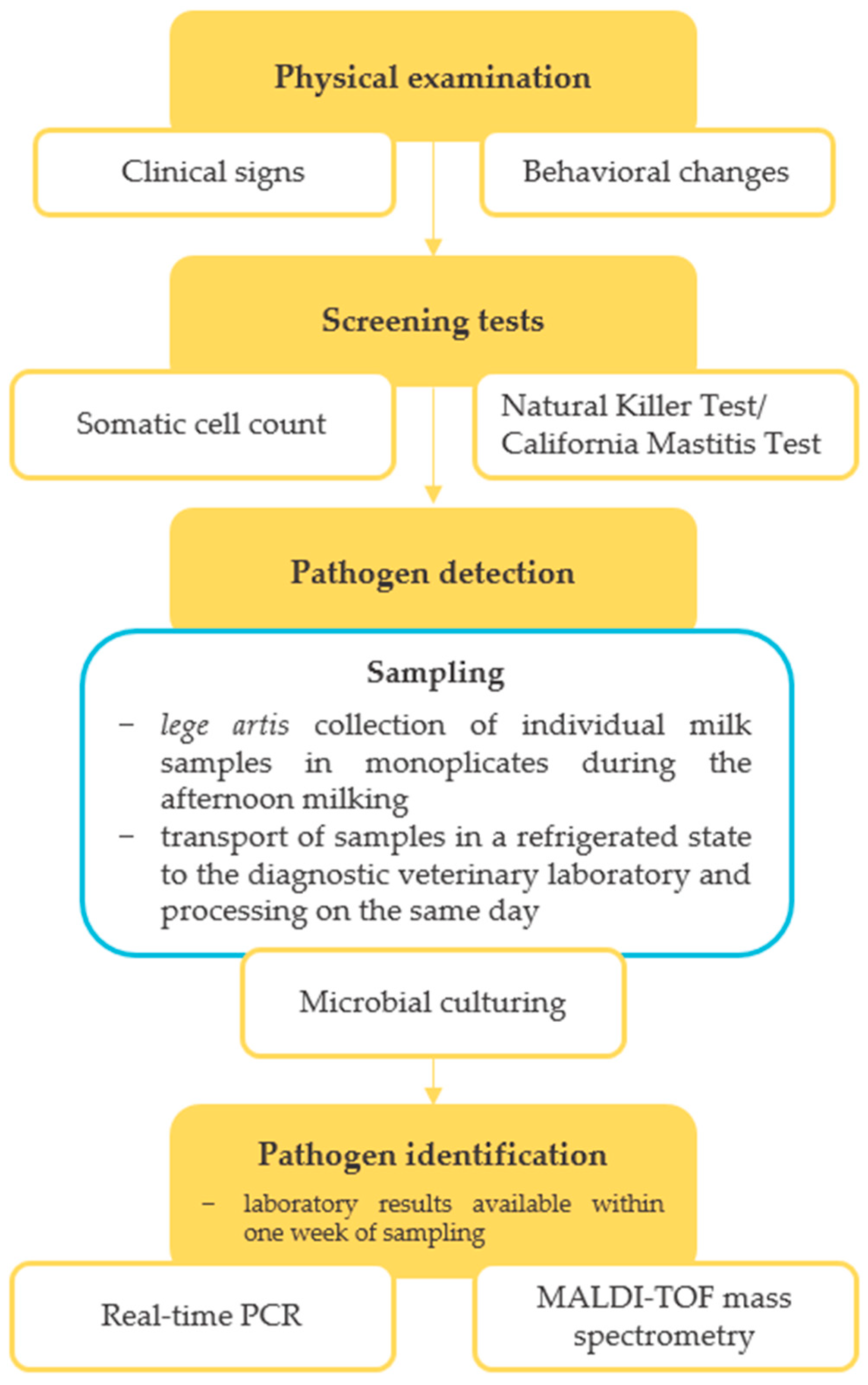 Microbiolres 14 00091 g002